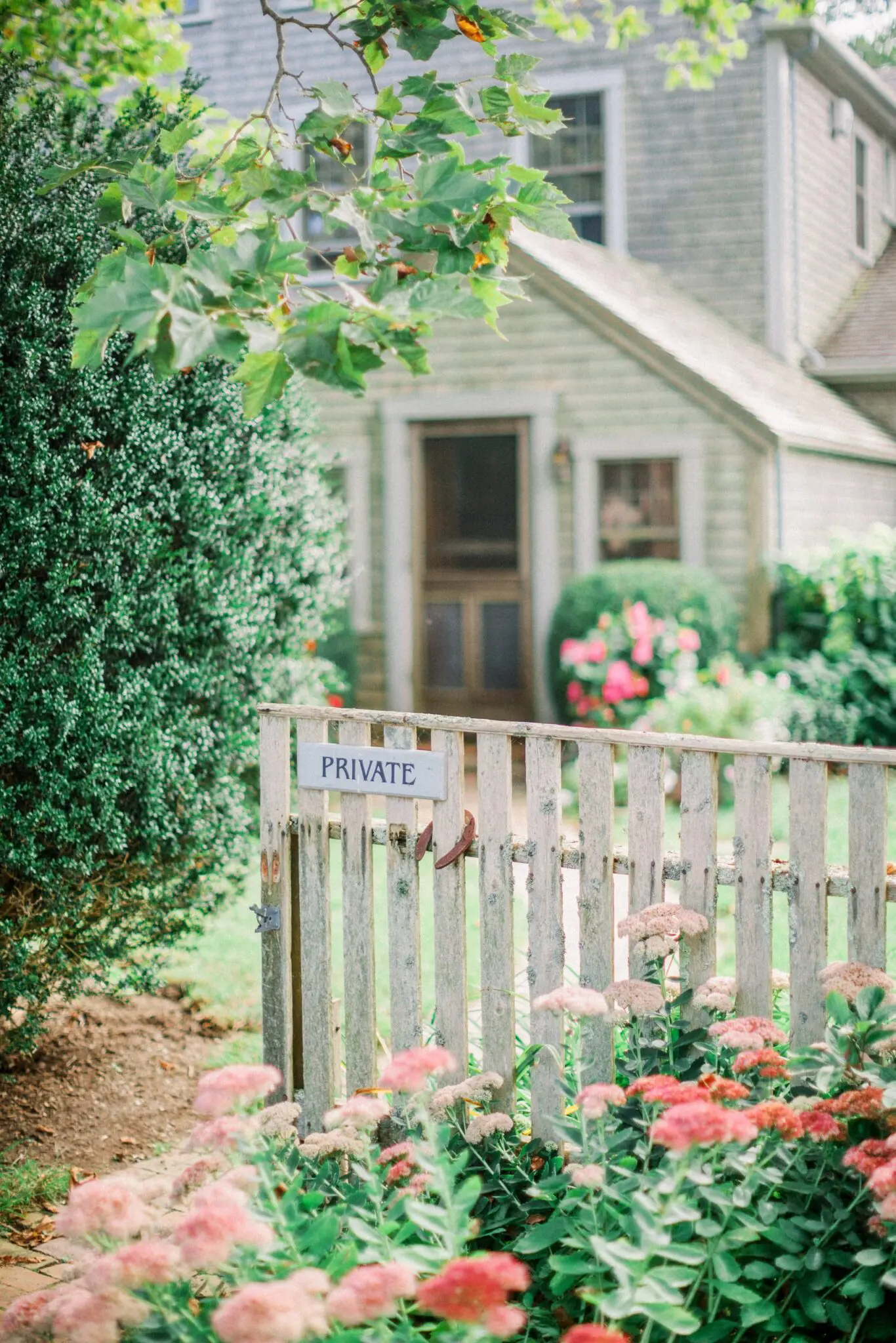 Kelly Dillon Wedding Photographer KellyDillonPhotographyTheAllenSheepFarmMarthasVineyardWeddingPhotogapherCapeCodWeddingPhotography13 scaled