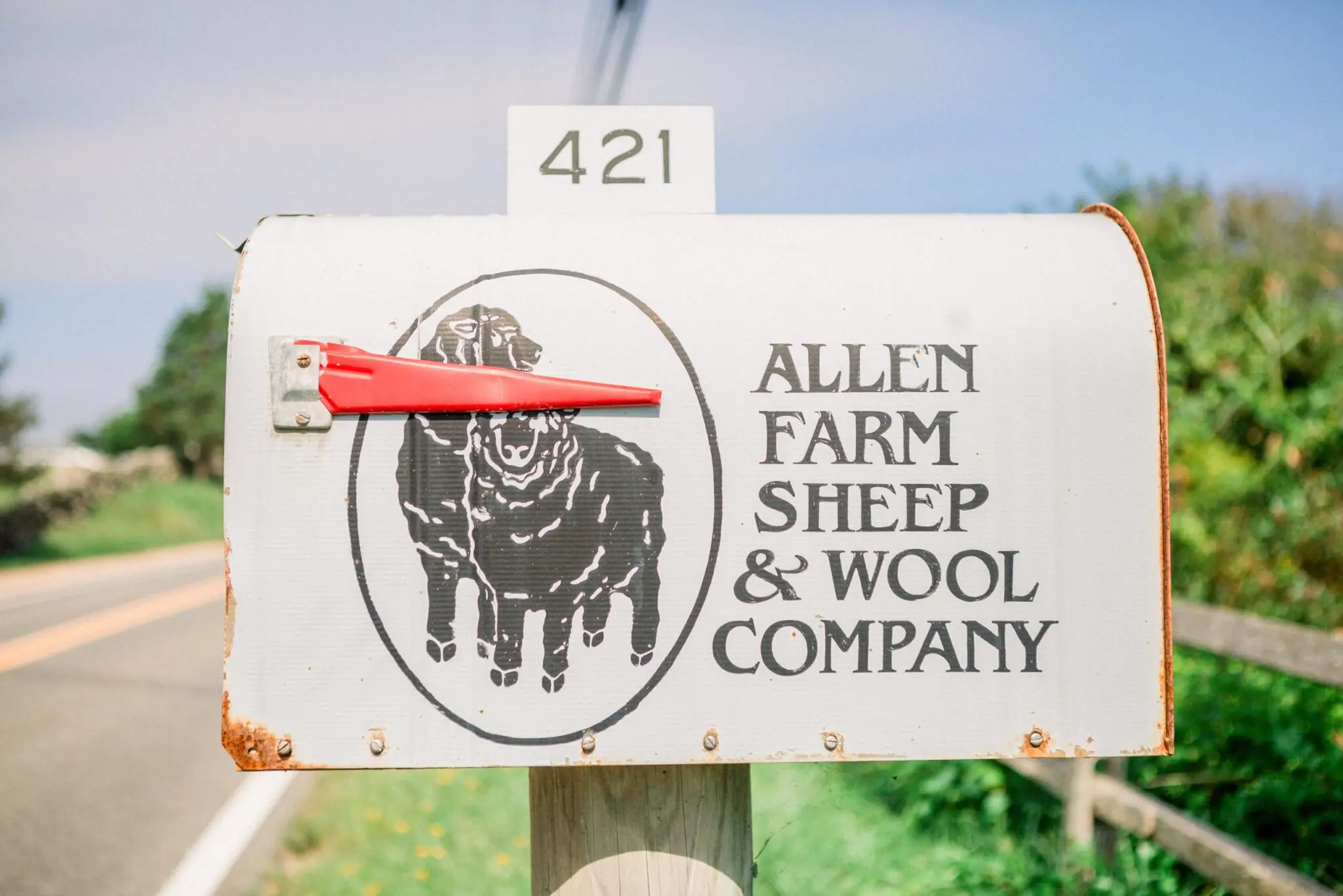 Kelly Dillon Wedding Photographer KellyDillonPhotographyTheAllenSheepFarmMarthasVineyardWeddingPhotogapherCapeCodWeddingPhotography3 scaled