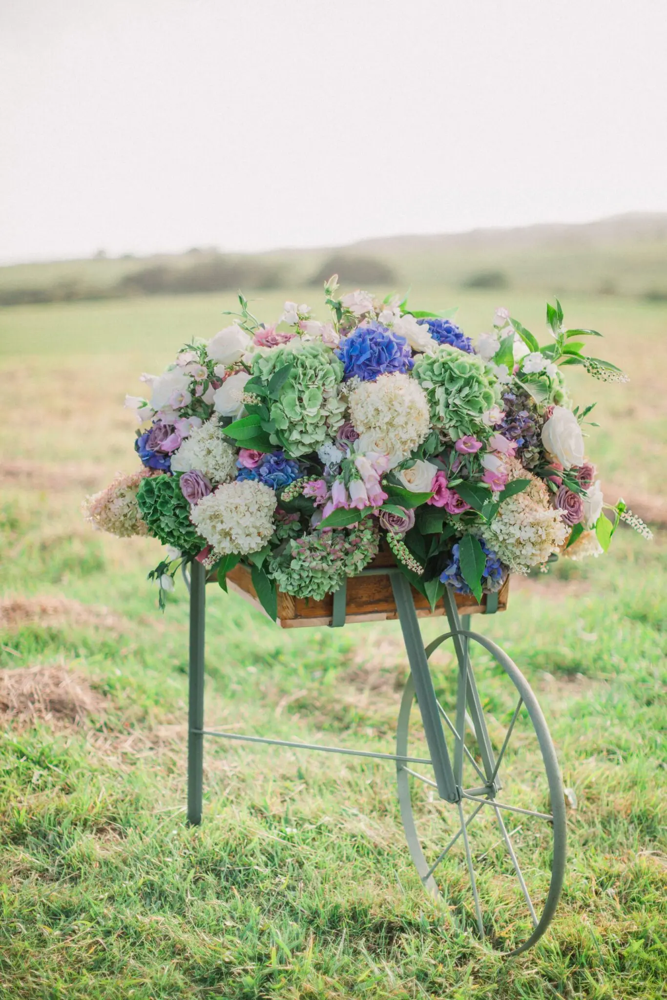 Kelly Dillon Wedding Photographer KellyDillonPhotographyTheAllenSheepFarmMarthasVineyardWeddingPhotogapherCapeCodWeddingPhotography77 scaled