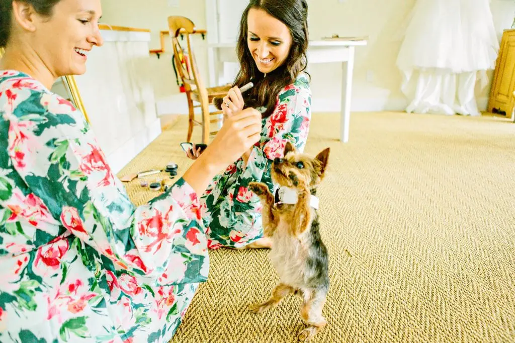 Why backyard & intimate weddings are beautiful too 19 Kelly Dillon Wedding Photographer www.kellydillonphoto.com28 1