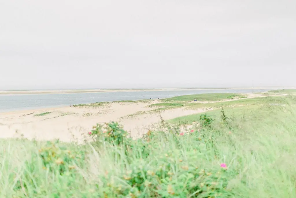The Cocks Cape Cod Family | Chatham MA 1 Kelly Dillon Wedding Photographer KellyDillonPhotography1 6