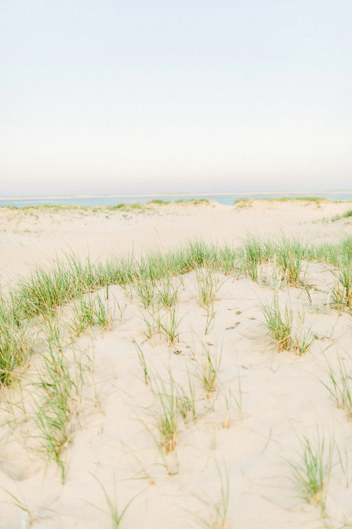 Kelly Dillon Wedding Photographer KellyDillonPhotography10 2 scaled