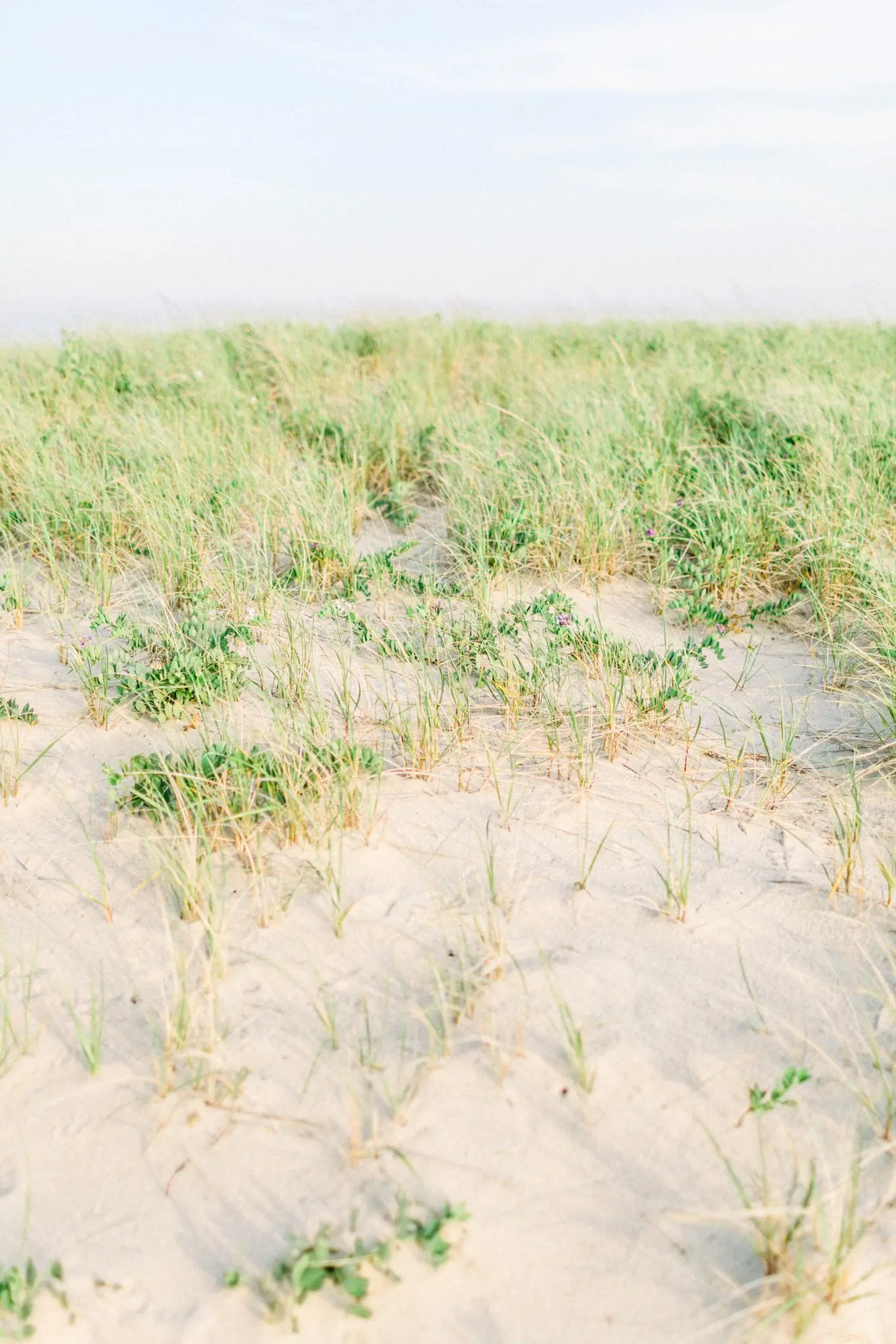 Kelly Dillon Wedding Photographer KellyDillonPhotography11 2 scaled