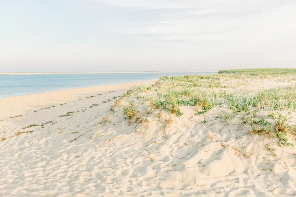 Kelly Dillon Wedding Photographer KellyDillonPhotography16 2