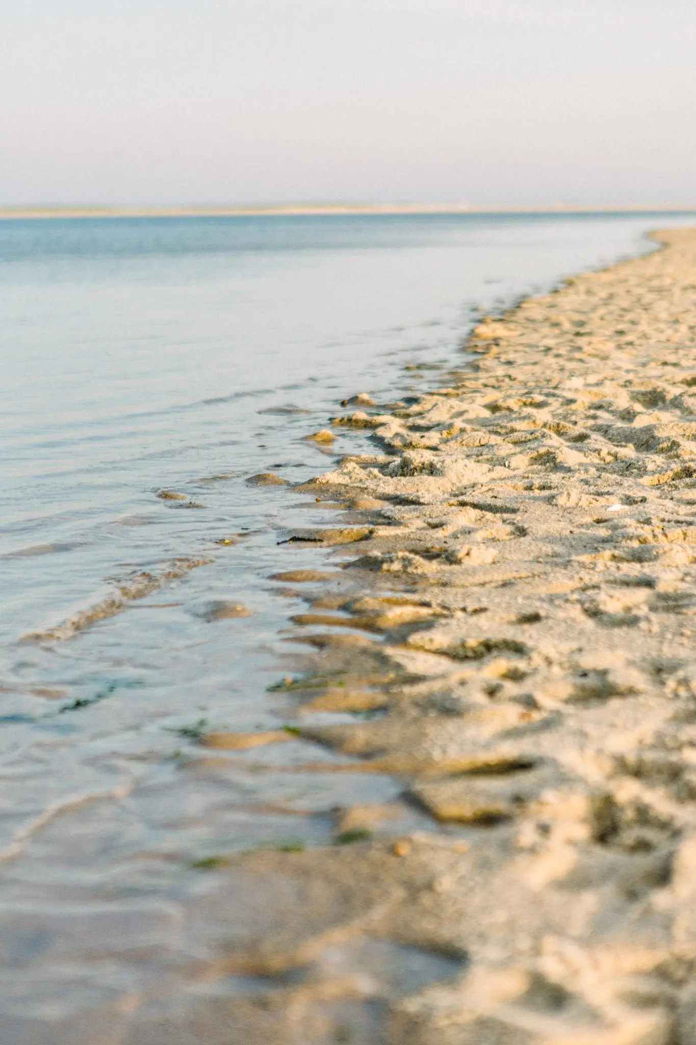 Kelly Dillon Wedding Photographer KellyDillonPhotography19 2 scaled