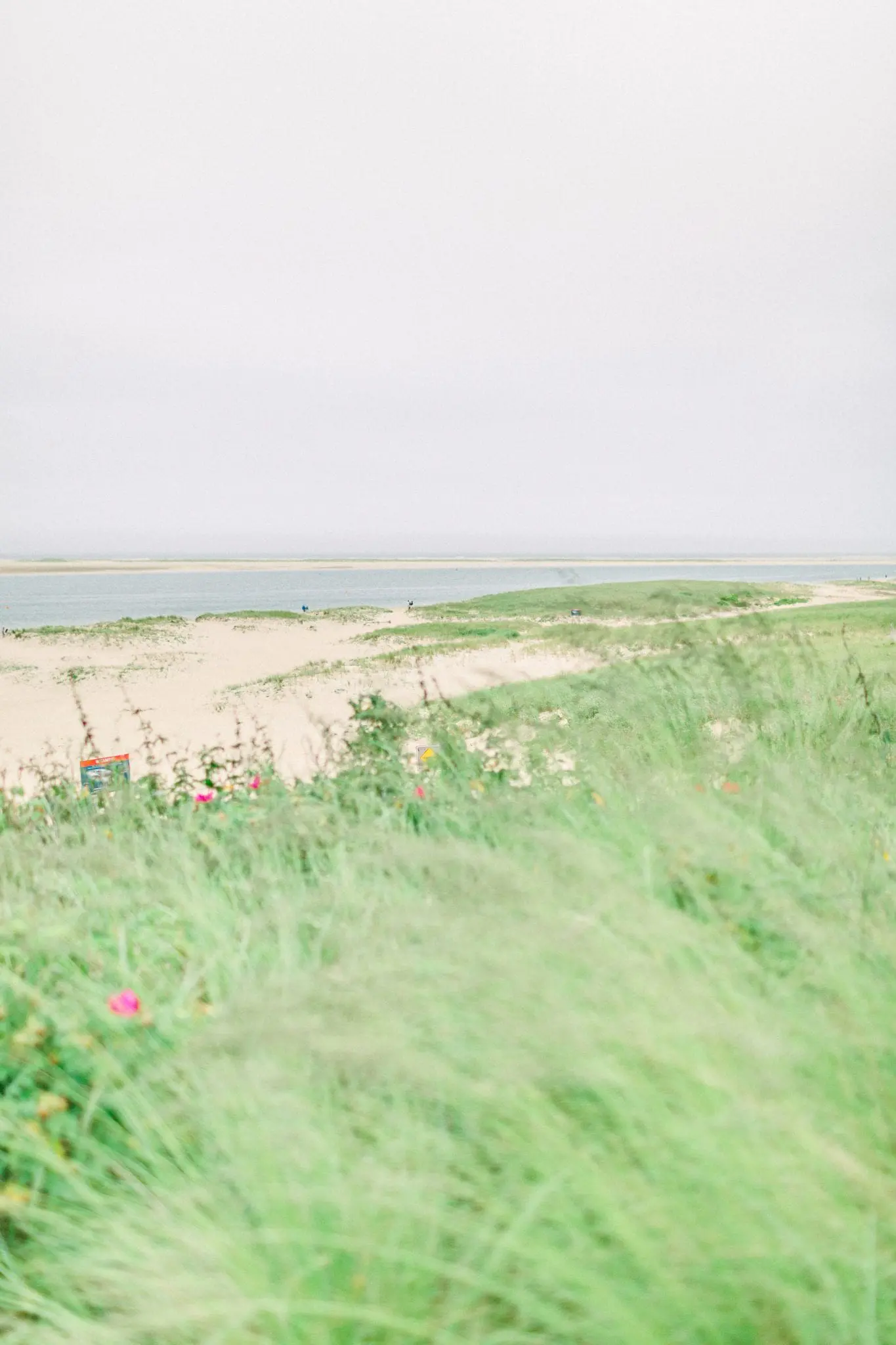 The Cocks Cape Cod Family | Chatham MA 35 Kelly Dillon Wedding Photographer KellyDillonPhotography36 4 scaled
