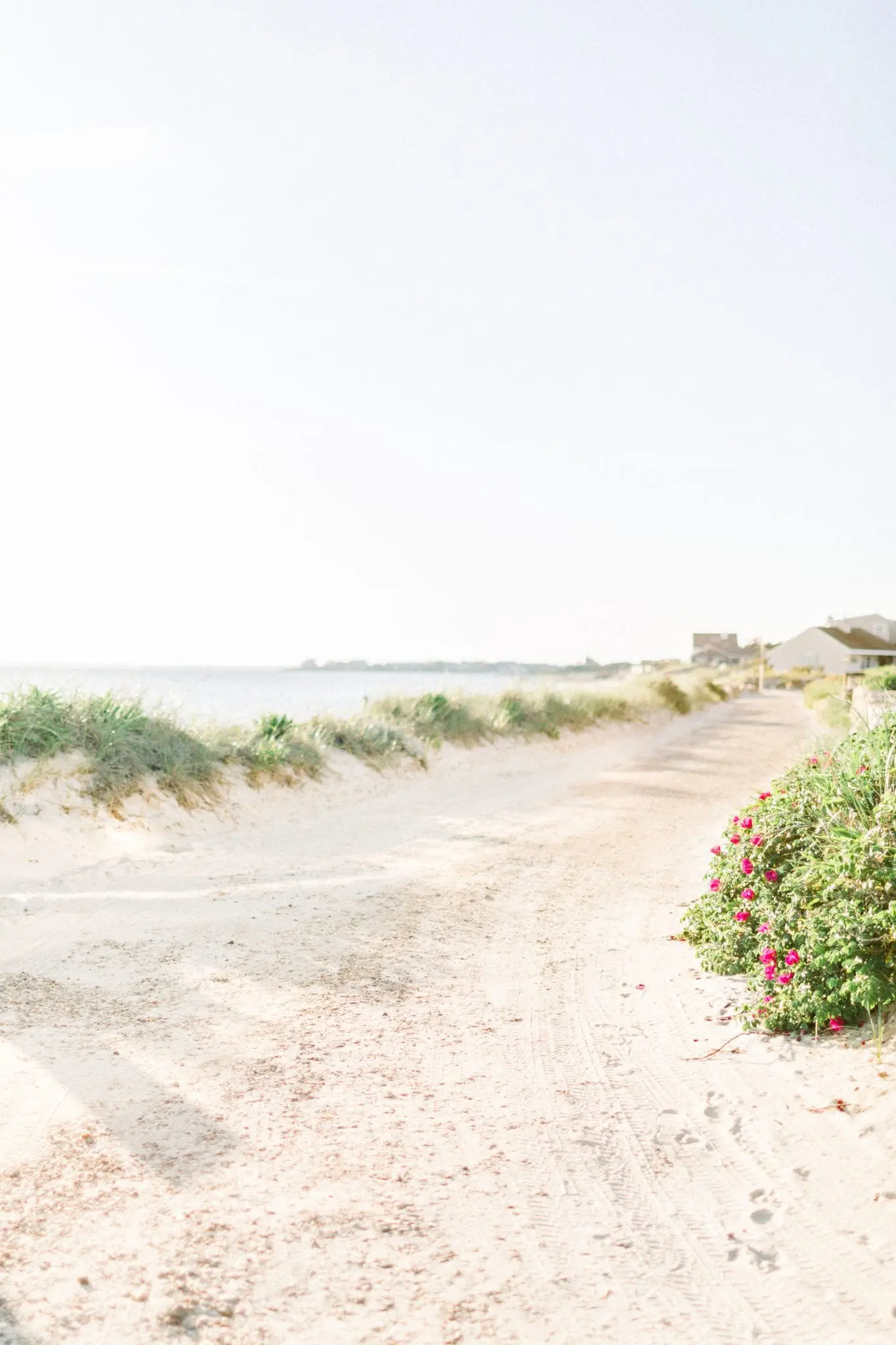 The Walis Family | Falmouth, MA 42 Kelly Dillon Wedding Photographer KellyDillonPhotography52 1 scaled