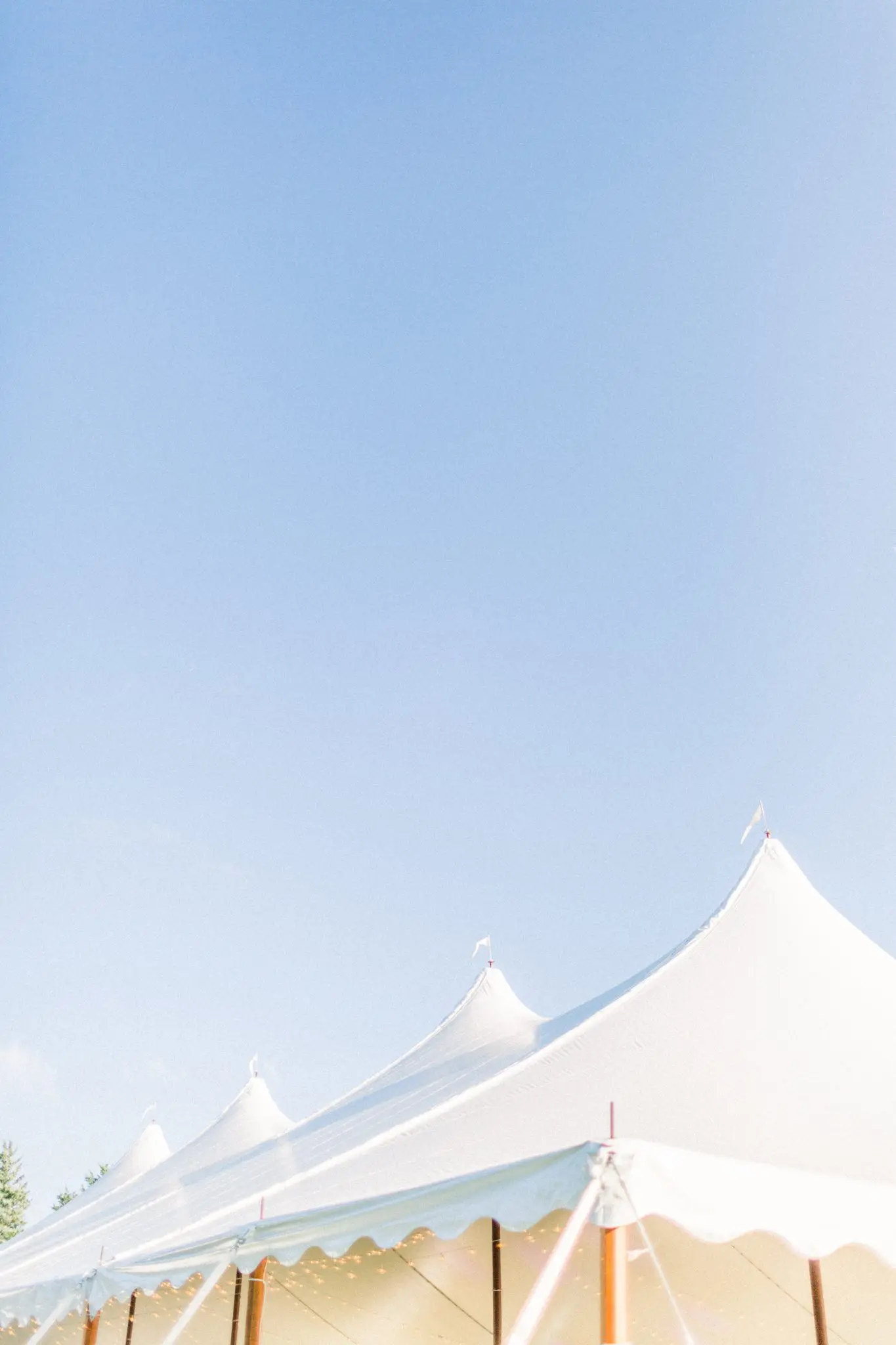 Kristin & Conor Mount HOpe Farm Wedding | Bristol, RI 49 Kelly Dillon Wedding Photographer KellyDillonPhotography64 2 scaled