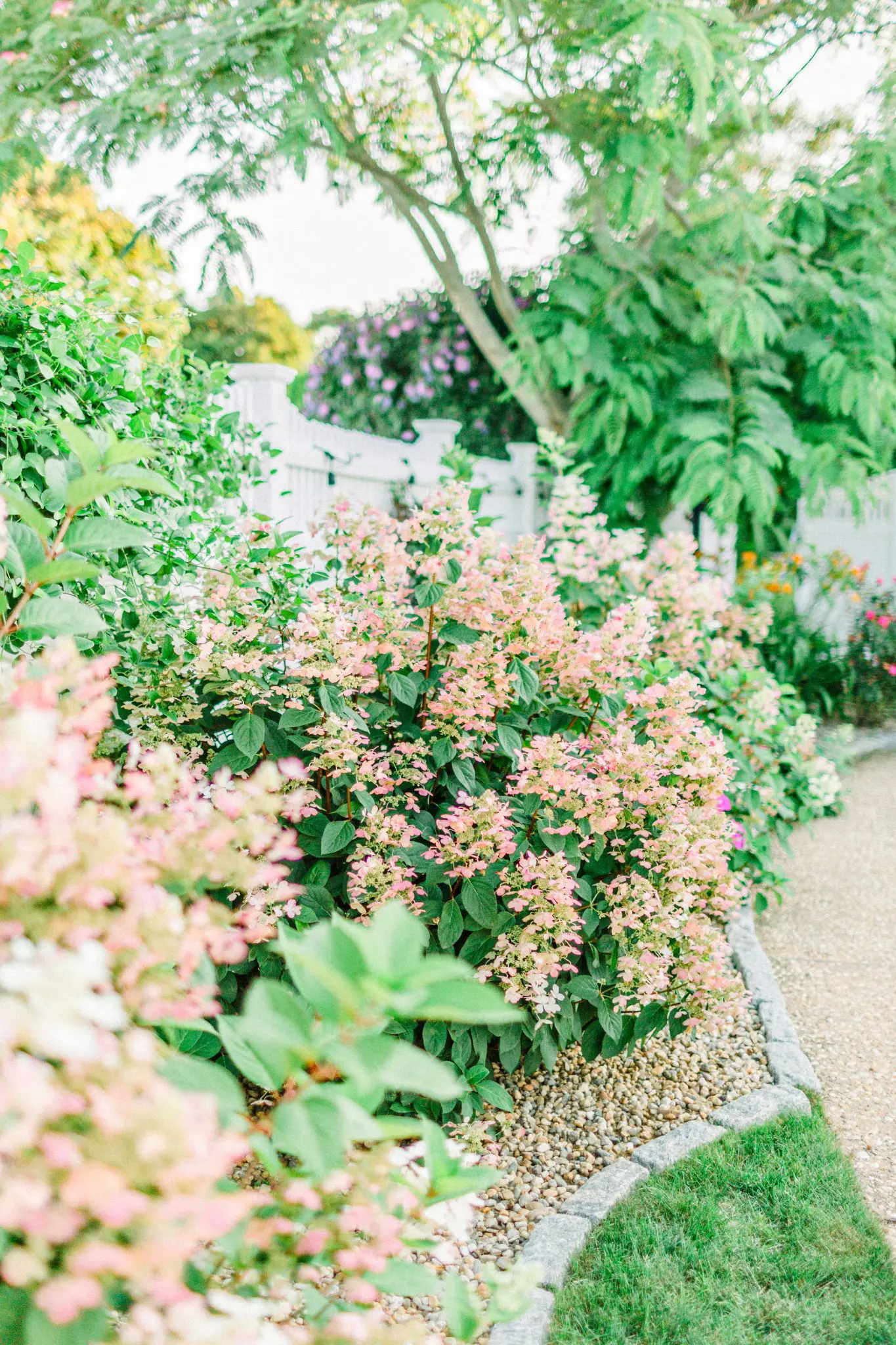 Courtney & Tim Backyard Wedding | Marshfield, MA 66 Kelly Dillon Wedding Photographer KellyDillonPhotography73 scaled