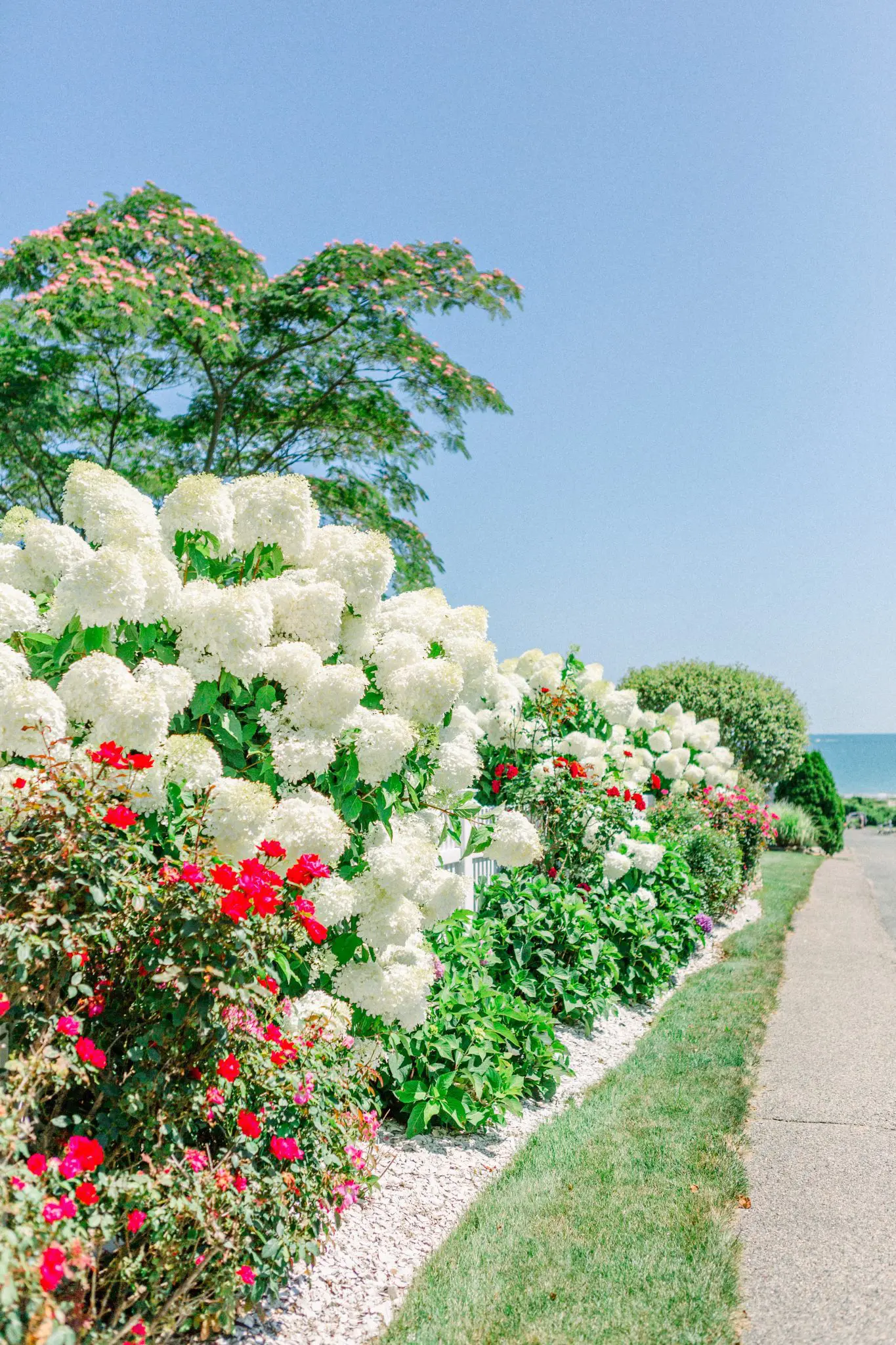 Courtney & Tim Backyard Wedding | Marshfield, MA 5 Kelly Dillon Wedding Photographer KellyDillonPhotography9 scaled
