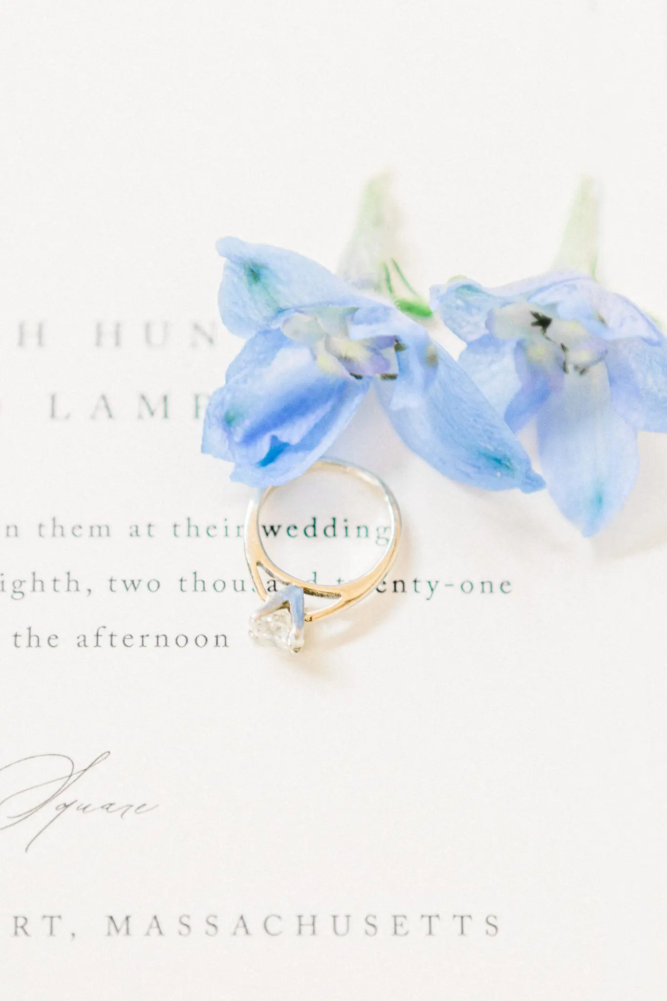 Haleigh & Chad Newburyport Wedding 10 Kelly Dillon Wedding Photographer KellyDillonPhotography10 1 scaled