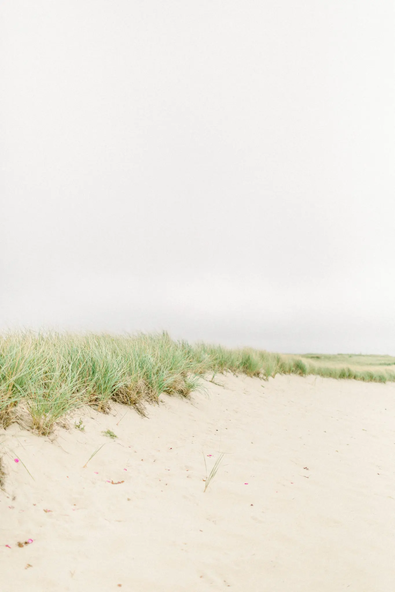 Abbie & Trevor Kalmar Village Wedding | Truro 9 Kelly Dillon Wedding Photographer KellyDillonPhotography15 3 scaled