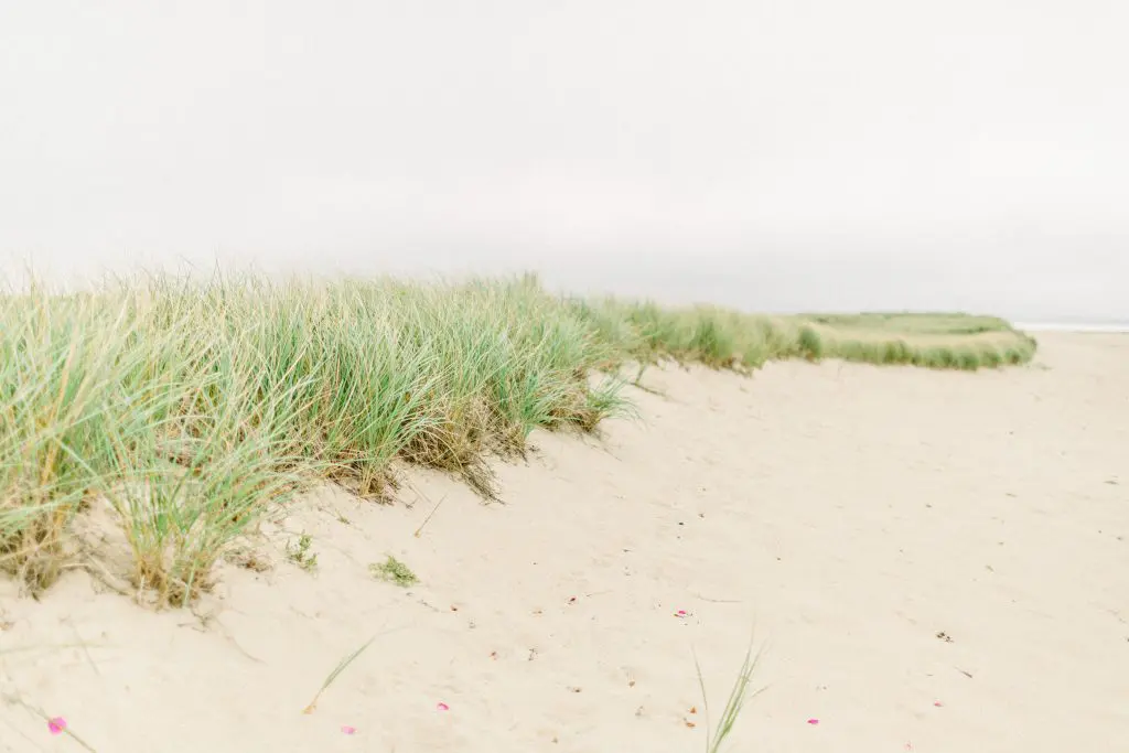 Abbie & Trevor Kalmar Village Wedding | Truro 20 Kelly Dillon Wedding Photographer KellyDillonPhotography23 3