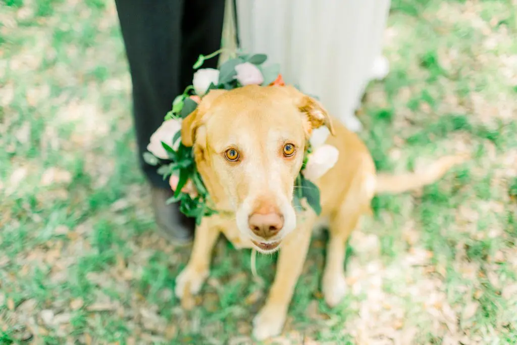 Olivia & Chad Charleston Wedding | Creek Club at I'On 33 Kelly Dillon Wedding Photographer KellyDillonPhotography36 1