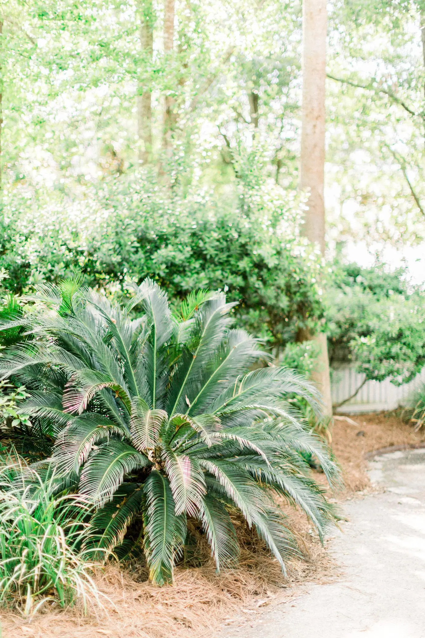Olivia & Chad Charleston Wedding | Creek Club at I'On 54 Kelly Dillon Wedding Photographer KellyDillonPhotography64 1 scaled