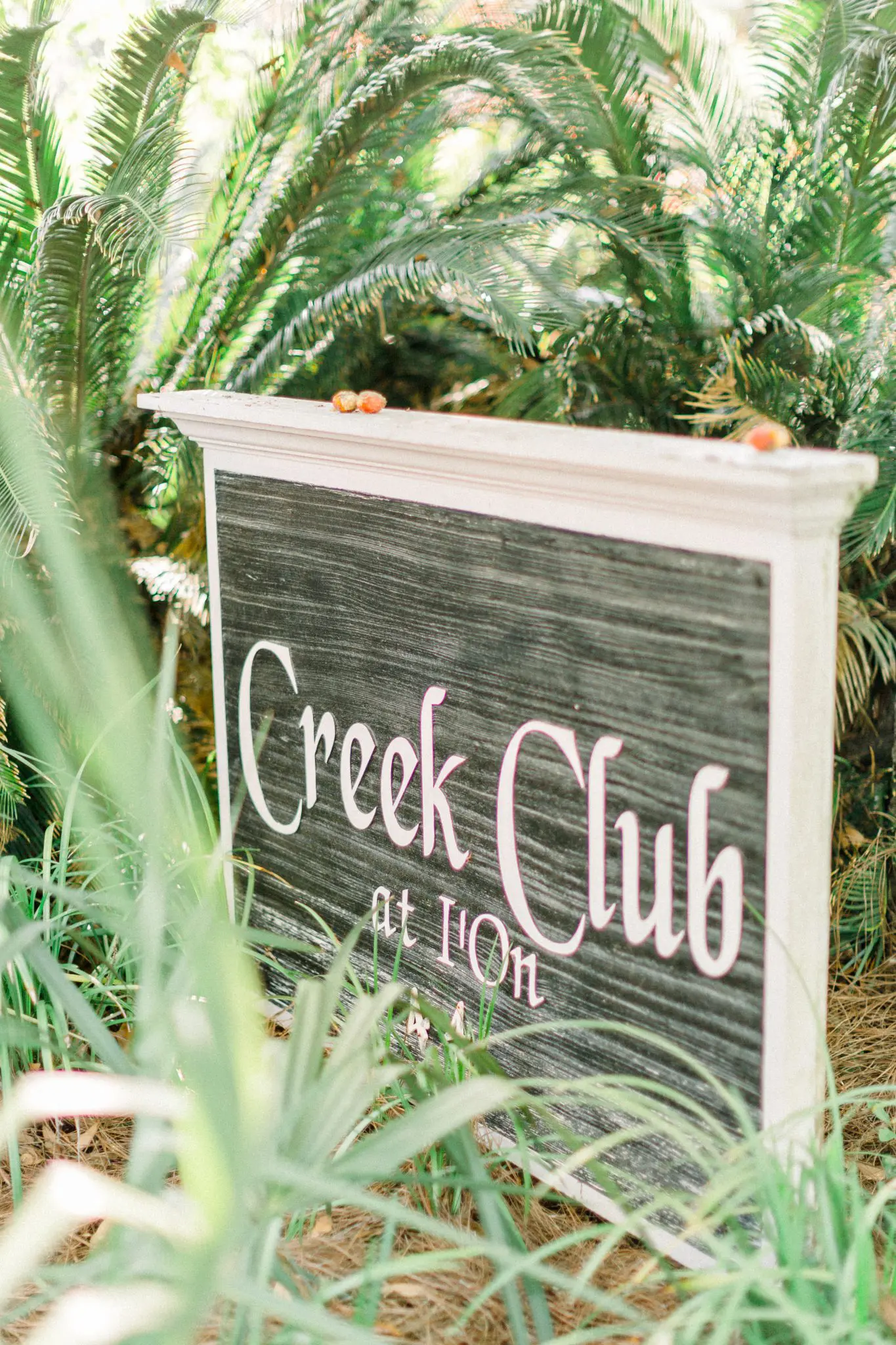 Olivia & Chad Charleston Wedding | Creek Club at I'On 56 Kelly Dillon Wedding Photographer KellyDillonPhotography67 1 scaled