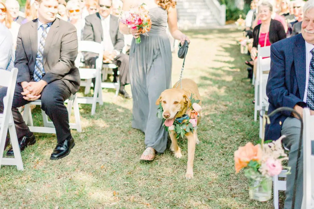 Olivia & Chad Charleston Wedding | Creek Club at I'On 69 Kelly Dillon Wedding Photographer KellyDillonPhotography82 1