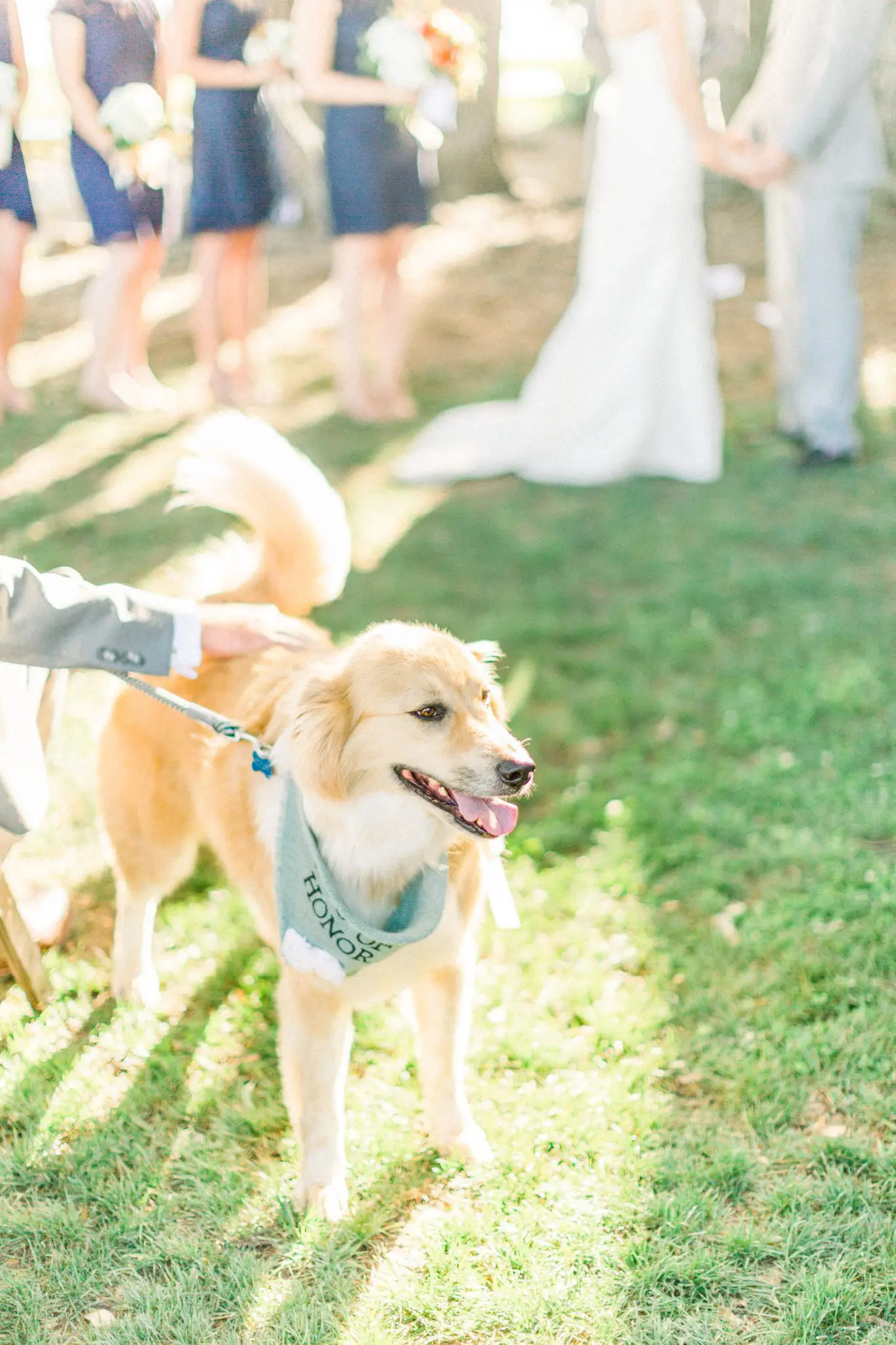 Christine & Chris Charleston, SC Wedding | Alhambra Hall 52 Kelly Dillon Wedding Photographer KellyDillonPhotography57 1 scaled