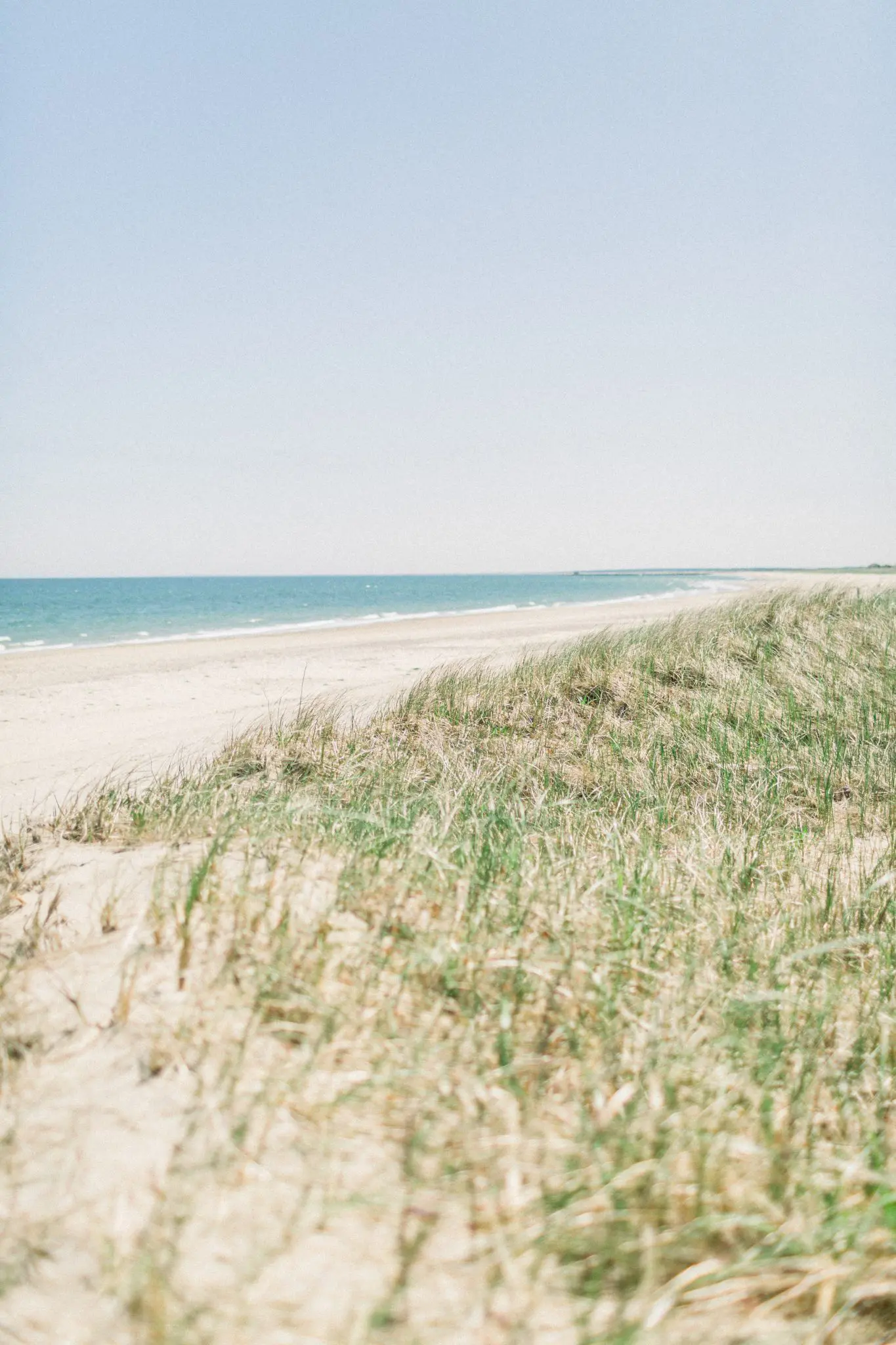 Connor & Shayla Propsal | Plymouth, MA 32 Kelly Dillon Wedding Photographer KellyDillonPhotographyCapeCodProposalPhotos4 scaled