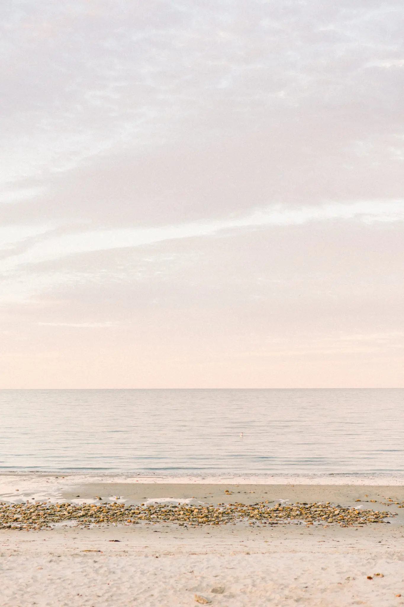 Kelly Dillon Wedding Photographer KellyDillonPhotographyCapeCodFamilySession17 1 scaled