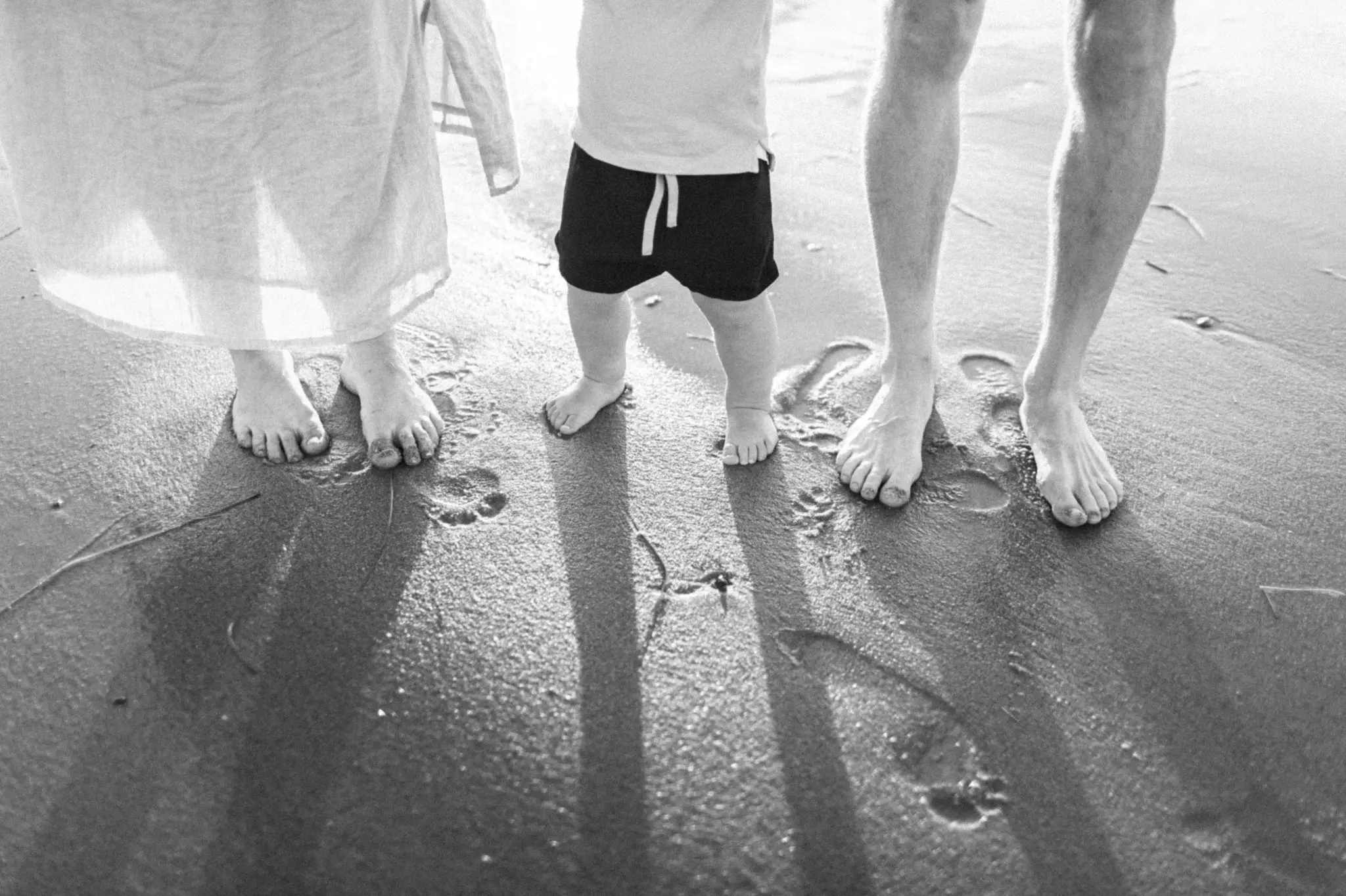 Kelly Dillon Wedding Photographer KellyDillonPhotographyCapeCodFamilySession5 1 scaled