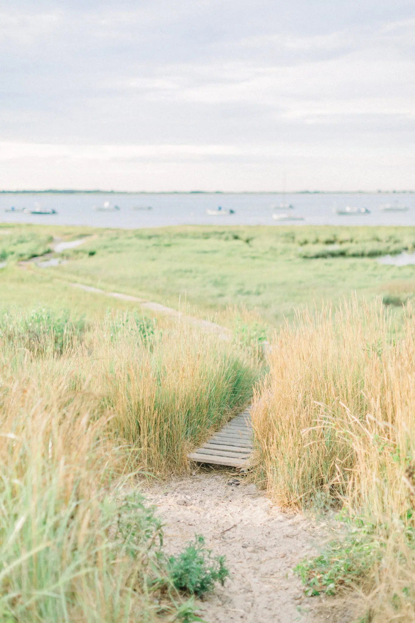 Sara & Stephen Engagment | Yarmouth, MA 1 Kelly Dillon Wedding Photographer KellyDillonPhotographyClubCapeCodEngagementPhotography1 scaled