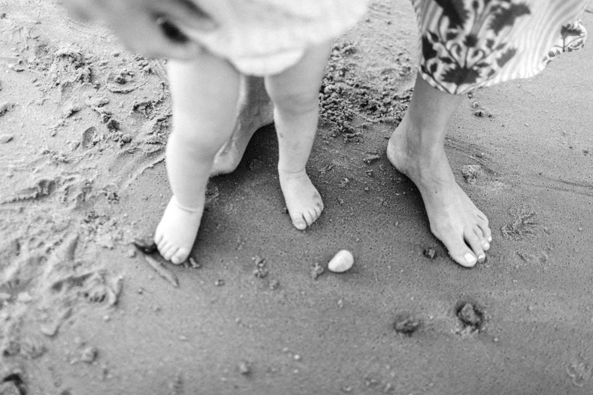 The Carrerio Cape Cod Family Photography 35 Kelly Dillon Wedding Photographer KellyDillonPhotographyCapeCodFamilyPhotography36 scaled
