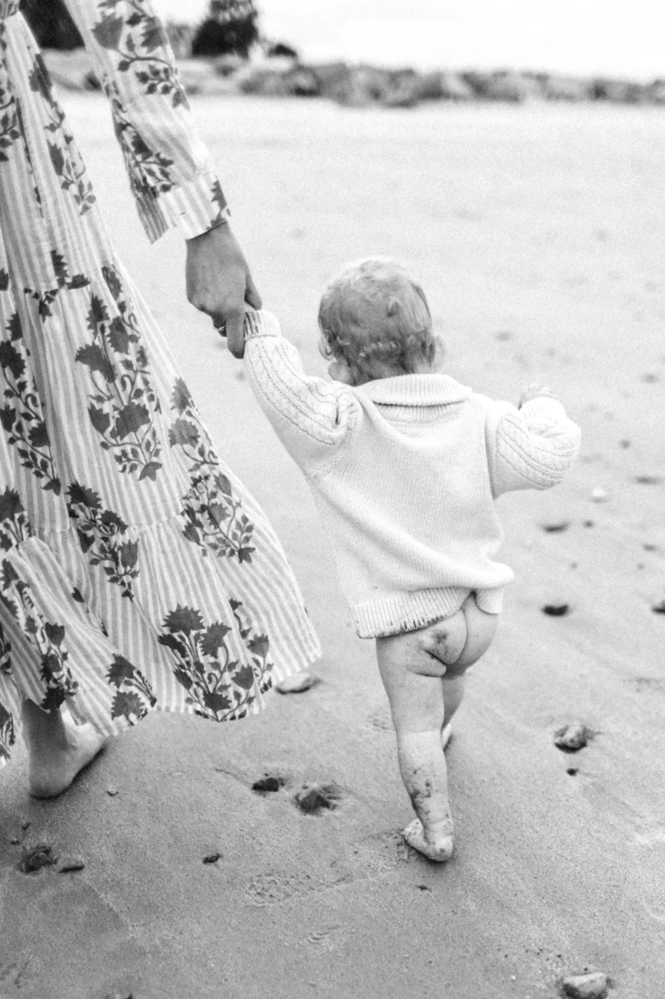 The Carrerio Cape Cod Family Photography 42 Kelly Dillon Wedding Photographer KellyDillonPhotographyCapeCodFamilyPhotography43 scaled