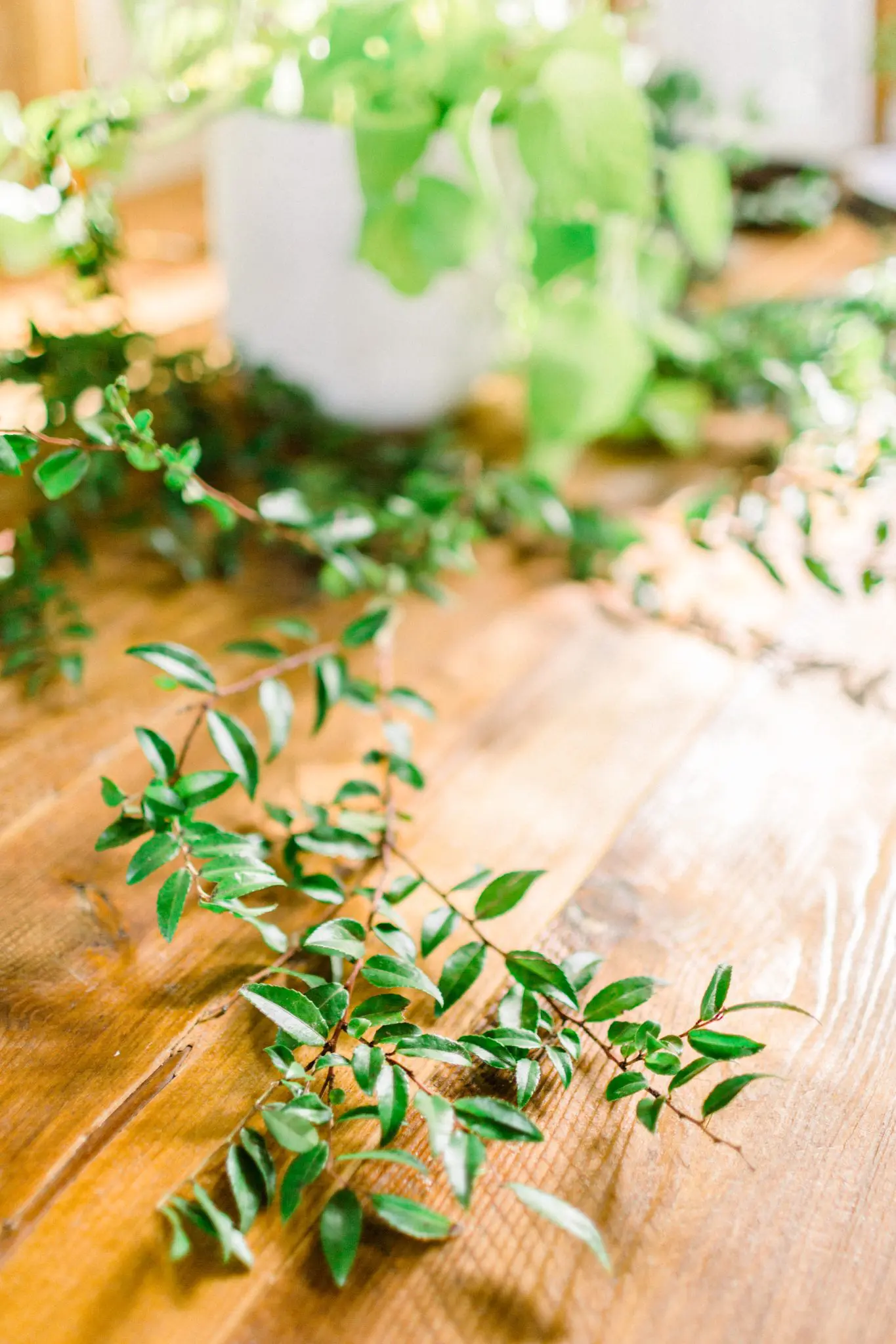 Kelly Dillon Wedding Photographer KellyDillonPhotographyPeirceHillatWitchFarmWeddingPhotography39 scaled