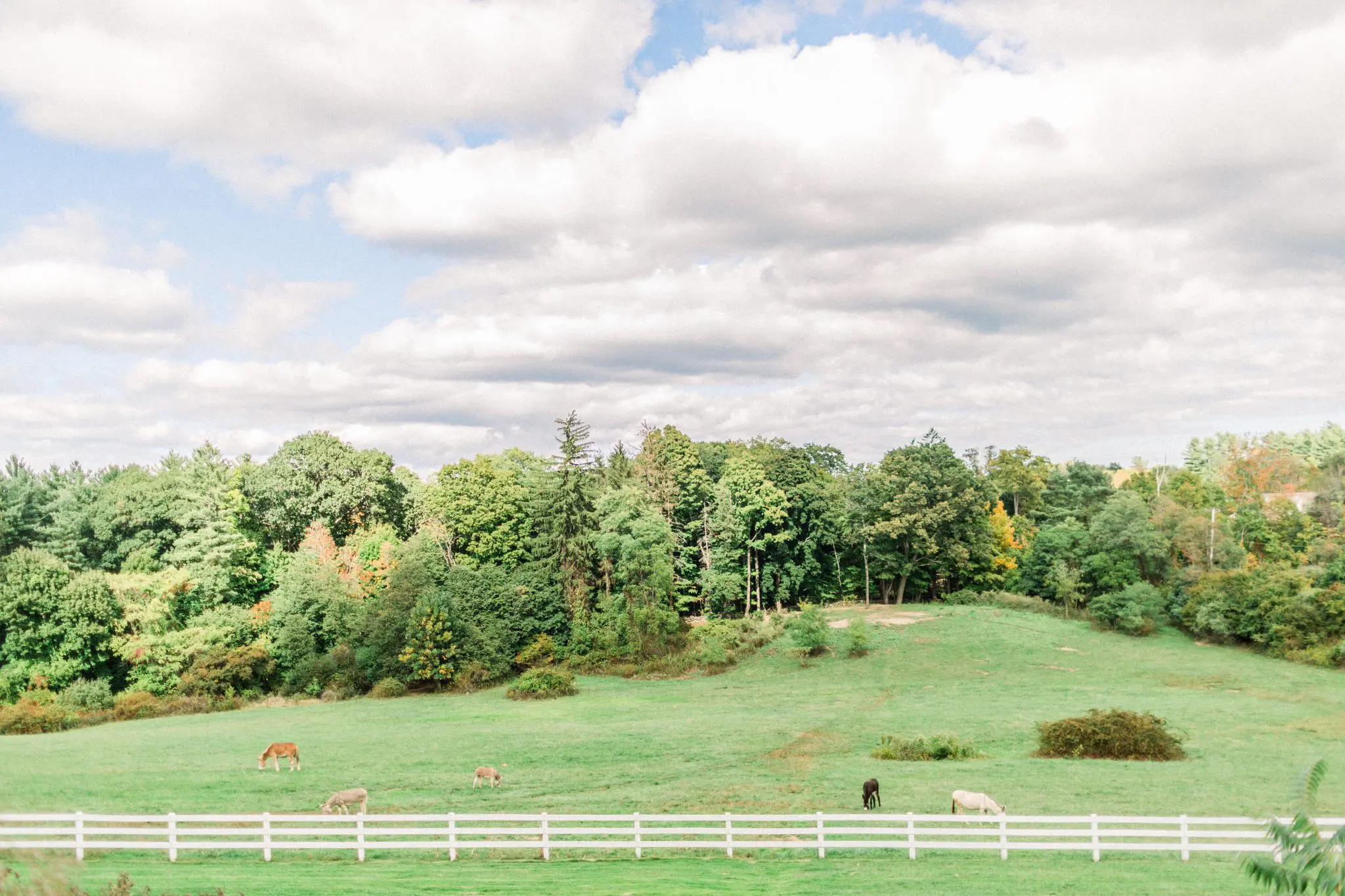 Kelly Dillon Wedding Photographer KellyDillonPhotographyPeirceHillatWitchFarmWeddingPhotography48 scaled