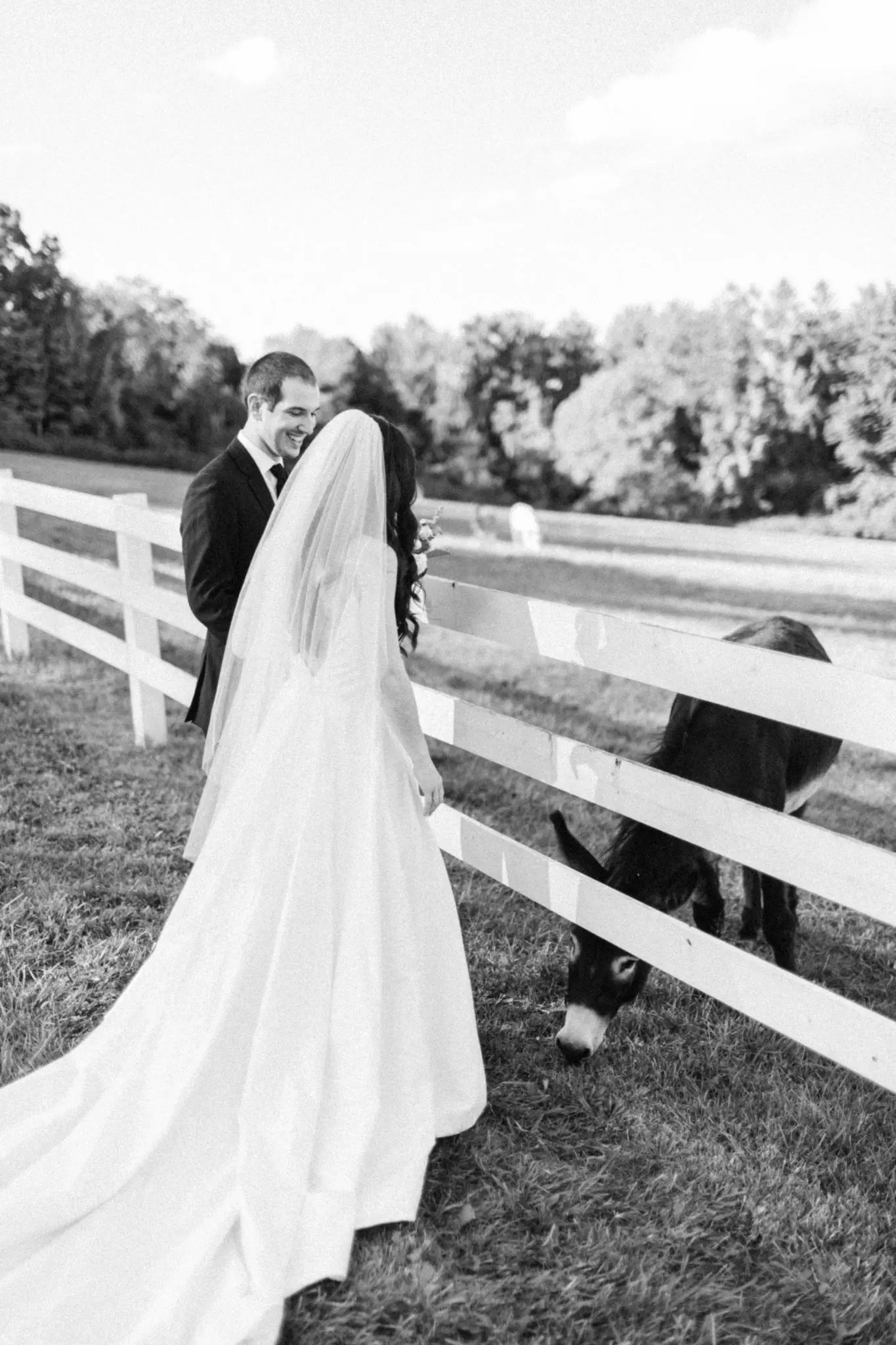 Kelly Dillon Wedding Photographer KellyDillonPhotographyPeirceHillatWitchFarmWeddingPhotography70 scaled
