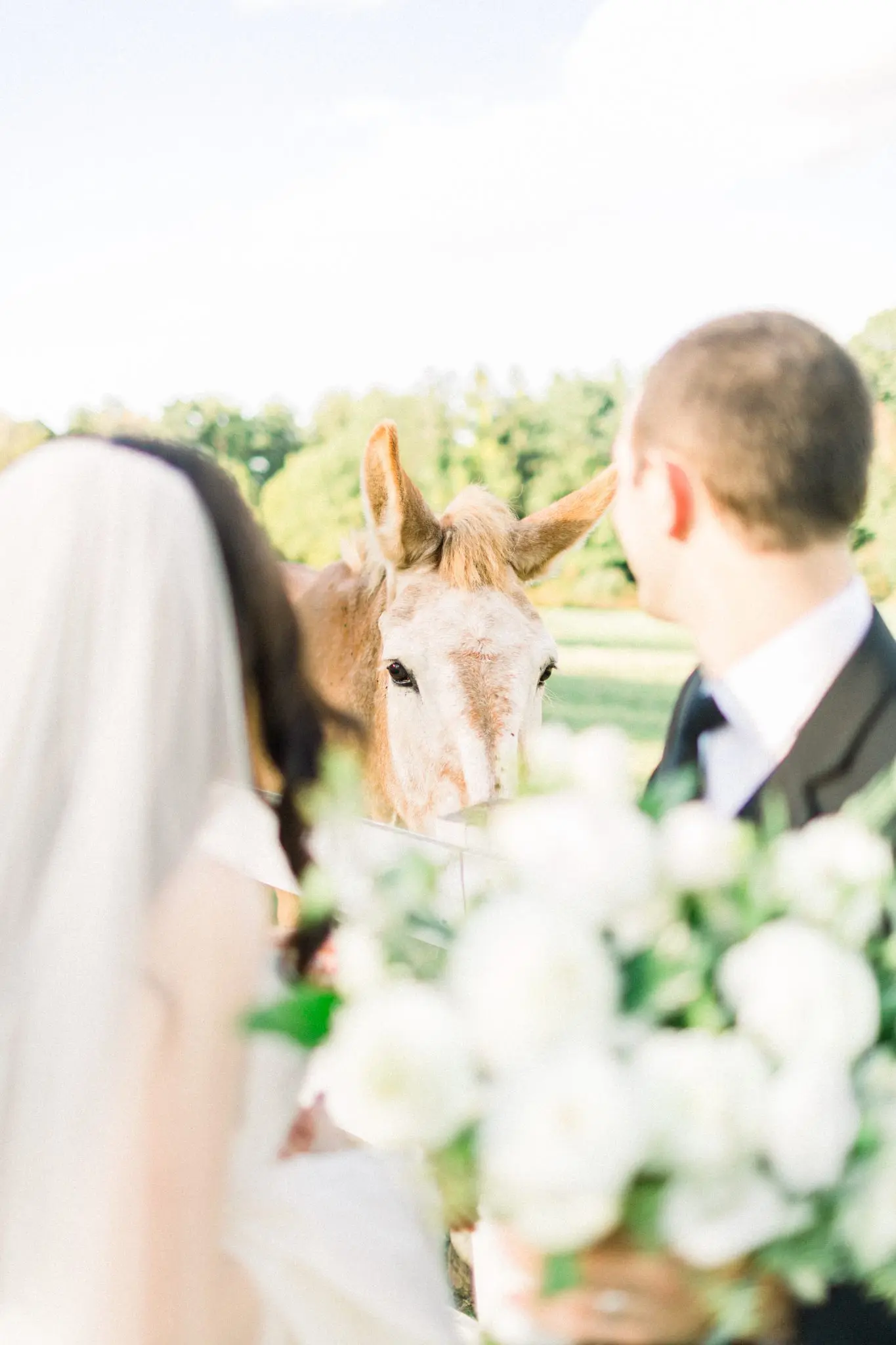 Kelly Dillon Wedding Photographer KellyDillonPhotographyPeirceHillatWitchFarmWeddingPhotography75 scaled