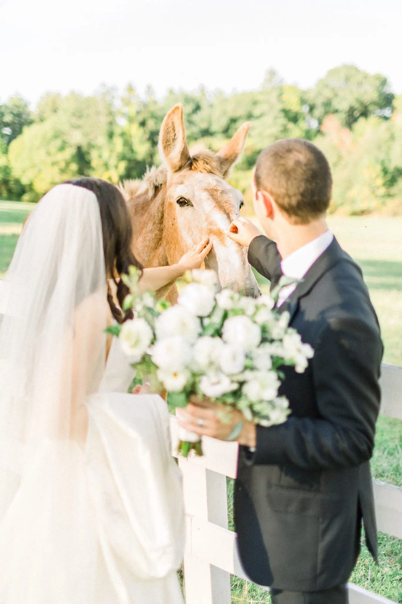 Kelly Dillon Wedding Photographer KellyDillonPhotographyPeirceHillatWitchFarmWeddingPhotography76 scaled