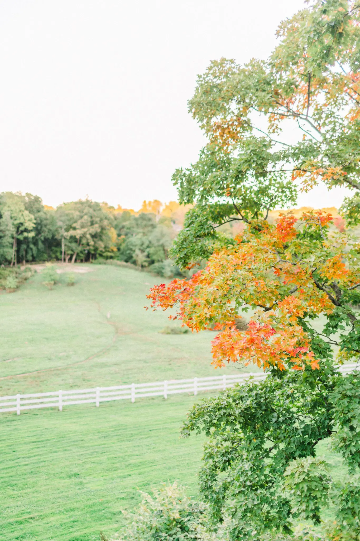 Kelly Dillon Wedding Photographer KellyDillonPhotographyPeirceHillatWitchFarmWeddingPhotography85 scaled