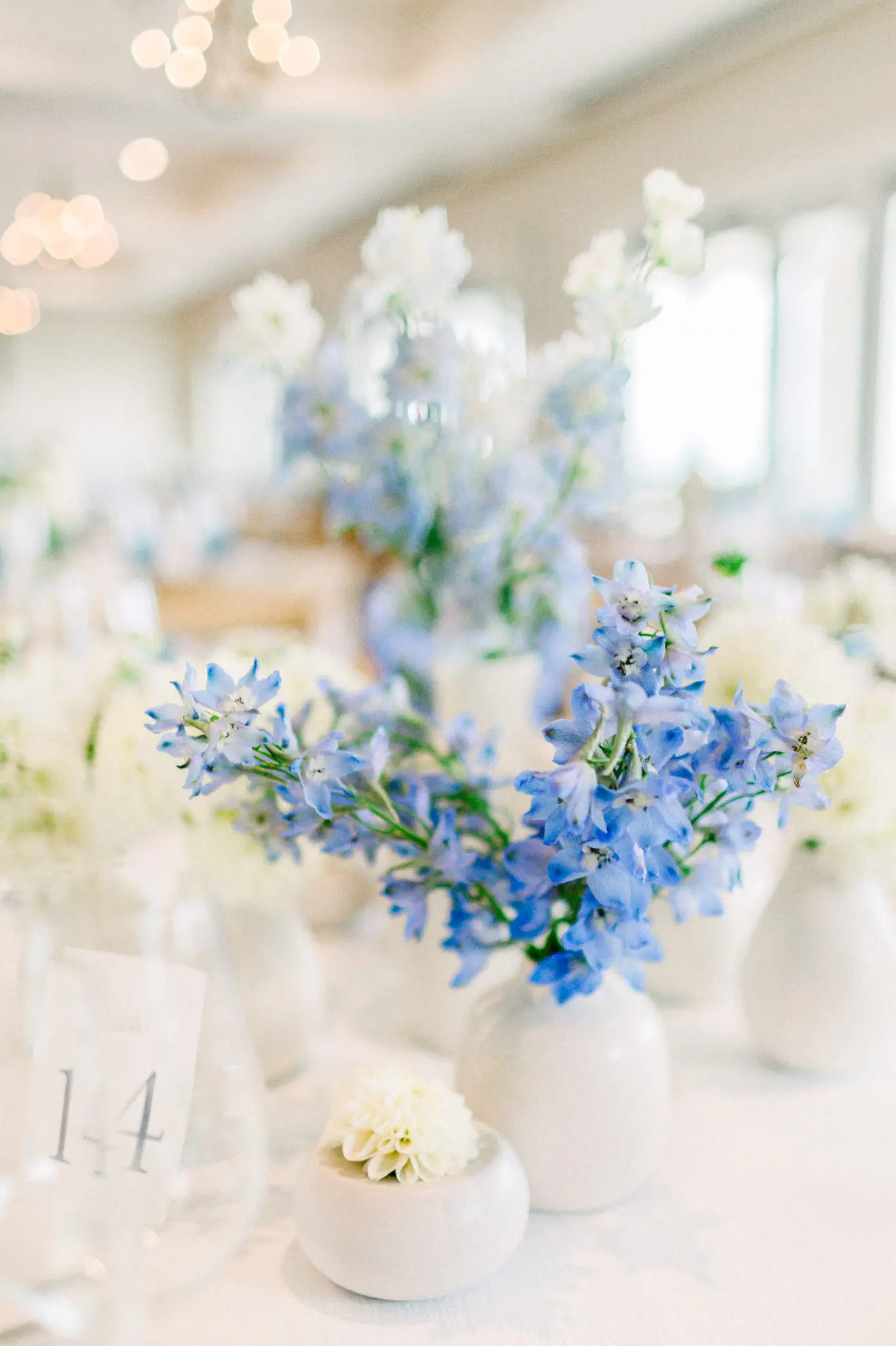 RIley & Jake Pelham House Resort Cape Cod Wedding 70 Kelly Dillon Wedding Photographer KellyDillonPhotographyPelhamHouseResortCapeCodWeddingPhotography72 scaled