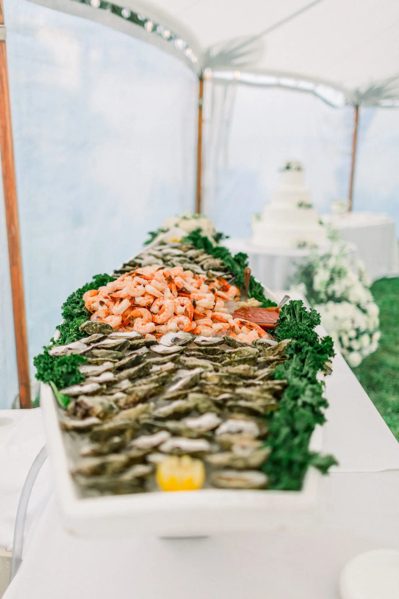 MAura and Matthew The Winslow Estate Cape Cod Wedding 65 Kelly Dillon Wedding Photographer KellyDillonPhotographyTheWinslowEstateCapeCodWeddingPhotography63 scaled