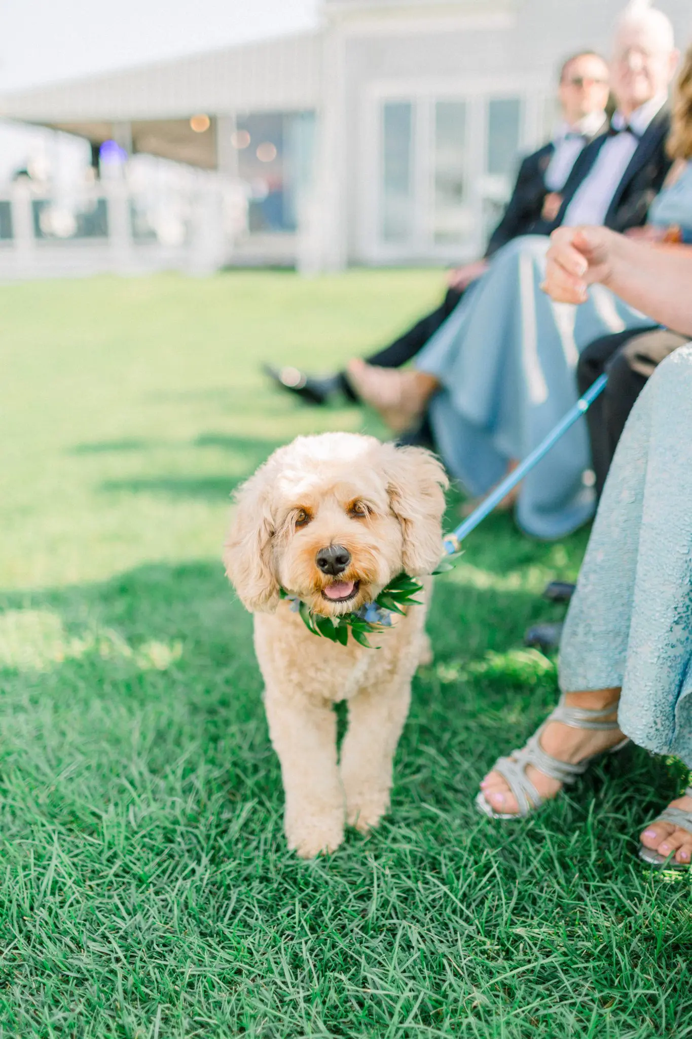 Caroline & Dean Cape Cod Wedding | Chatham Bars Inn 29 Kelly Dillon Wedding Photographer KellyDillonPhotographyChathamBarsInnWeddingCapeCodWeddingPhotographyCapeCodWeddingPhotographer30 scaled