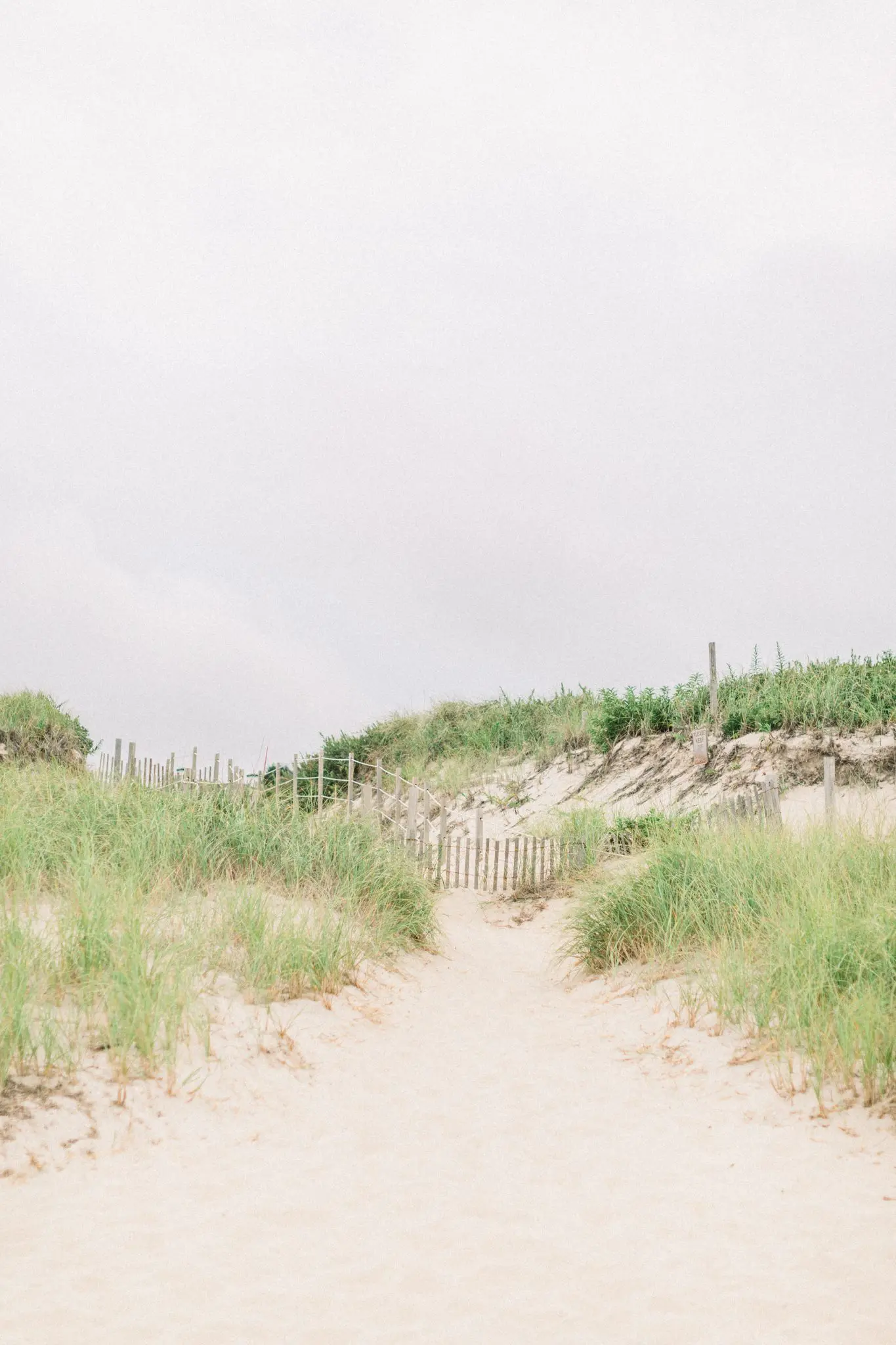 Kelly Dillon Wedding Photographer KellyDillonPhotographyCapeCodEngagementhotographyCapeCodEngagementPhotographer18 scaled