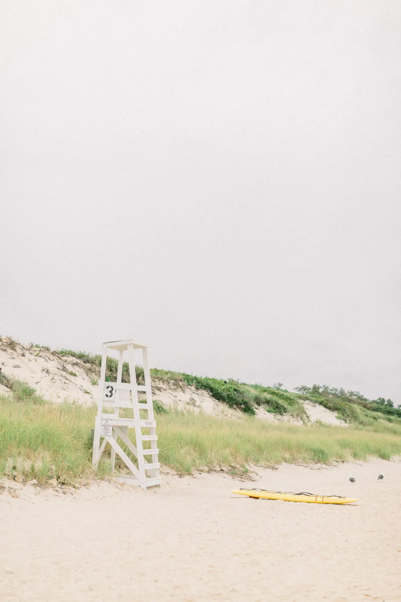 Kelly Dillon Wedding Photographer KellyDillonPhotographyCapeCodEngagementhotographyCapeCodEngagementPhotographer19 scaled