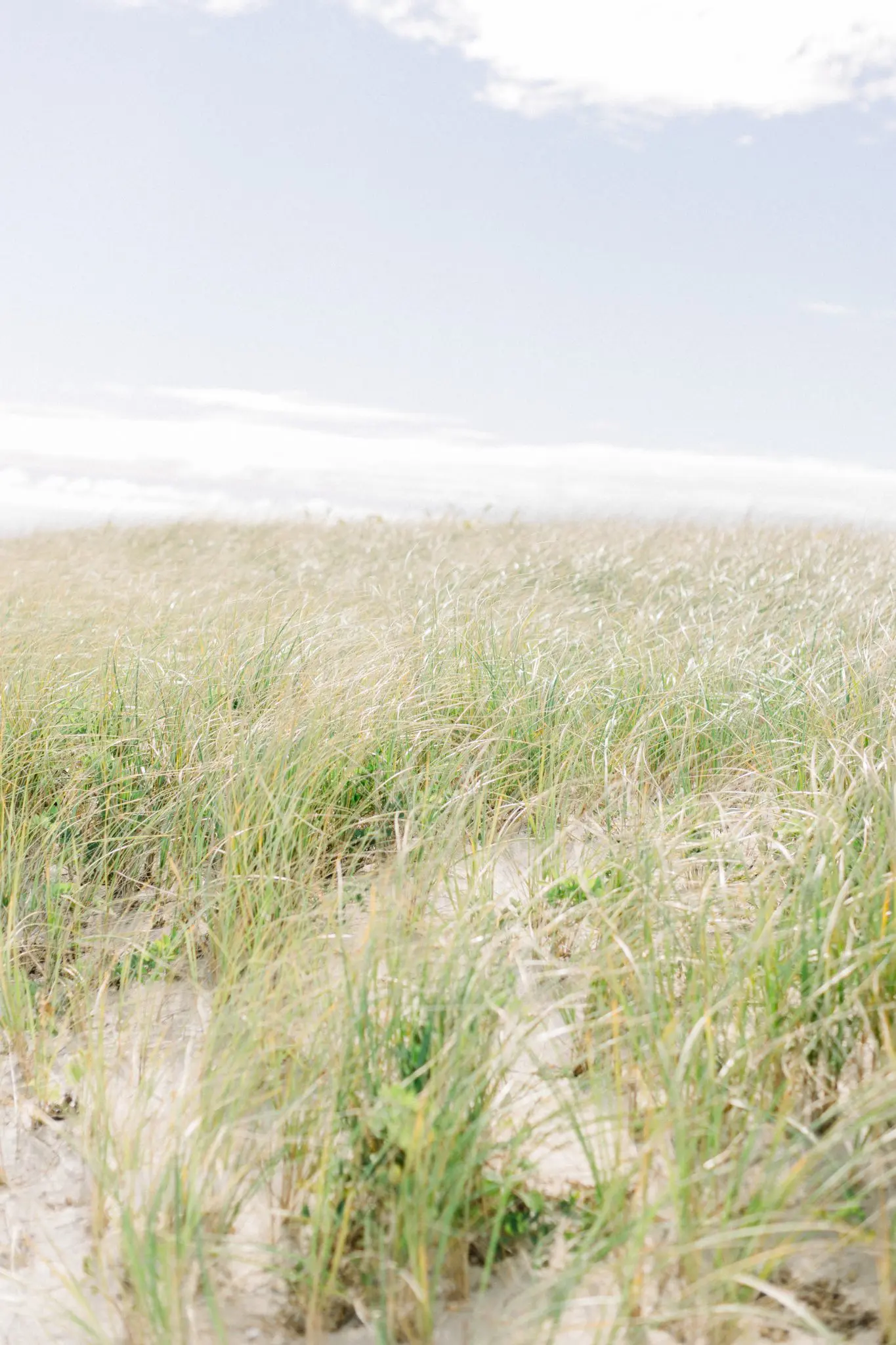Taylor & Chris Wychmere Beach Club Cape Cod Wedding 56 Kelly Dillon Wedding Photographer KellyDillonPhotographyWychmereBeachClubWeddingCapeCodPhotographyCapeCodWeddingPhotographer58 scaled