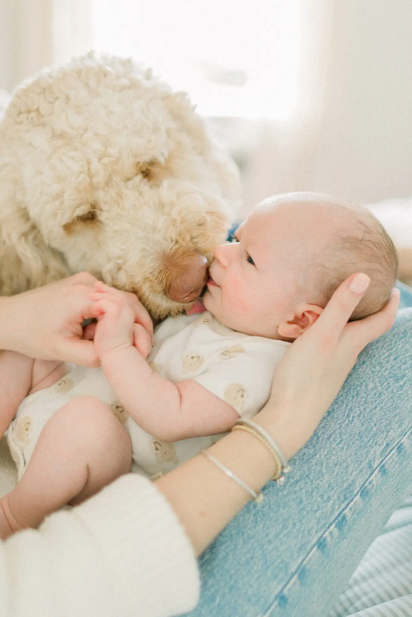 Kelly Dillon Wedding Photographer KellyDillonPhotographyCapeCodFamilyPhotogapherCapeCodFamilyPhotography18 scaled