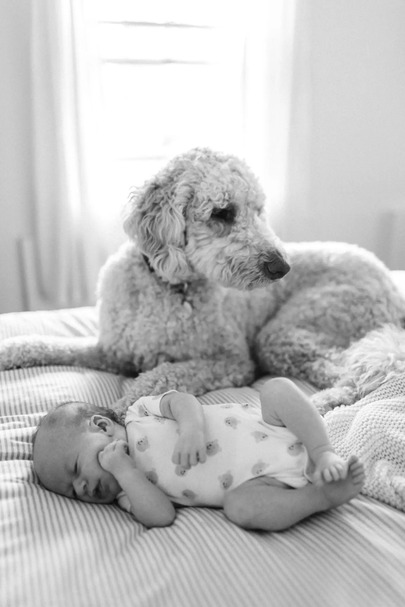 Kelly Dillon Wedding Photographer KellyDillonPhotographyCapeCodFamilyPhotogapherCapeCodFamilyPhotography19 scaled