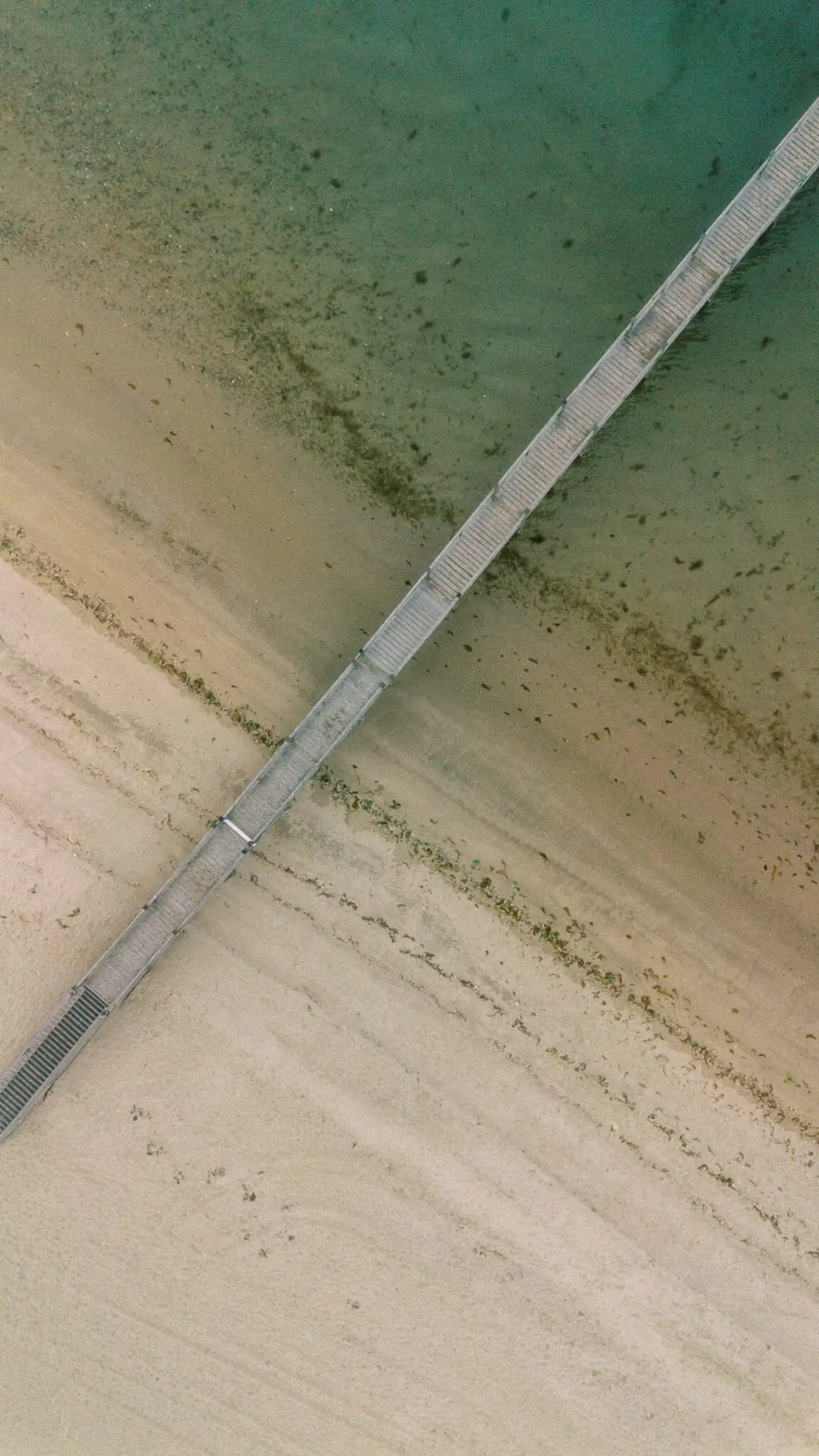 Kelly Dillon Wedding Photographer KellyDillonPhotographyChathamBarsInnCapeCodWeddingPhotogapherCapeCodWeddingPhotography58 scaled