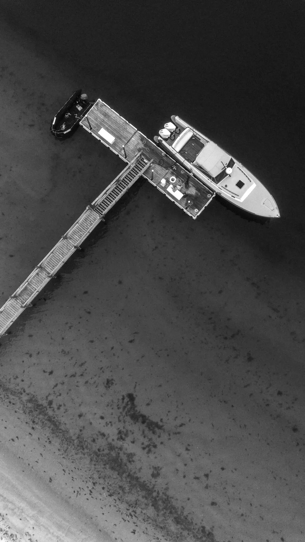 Kelly Dillon Wedding Photographer KellyDillonPhotographyChathamBarsInnCapeCodWeddingPhotogapherCapeCodWeddingPhotography61 scaled