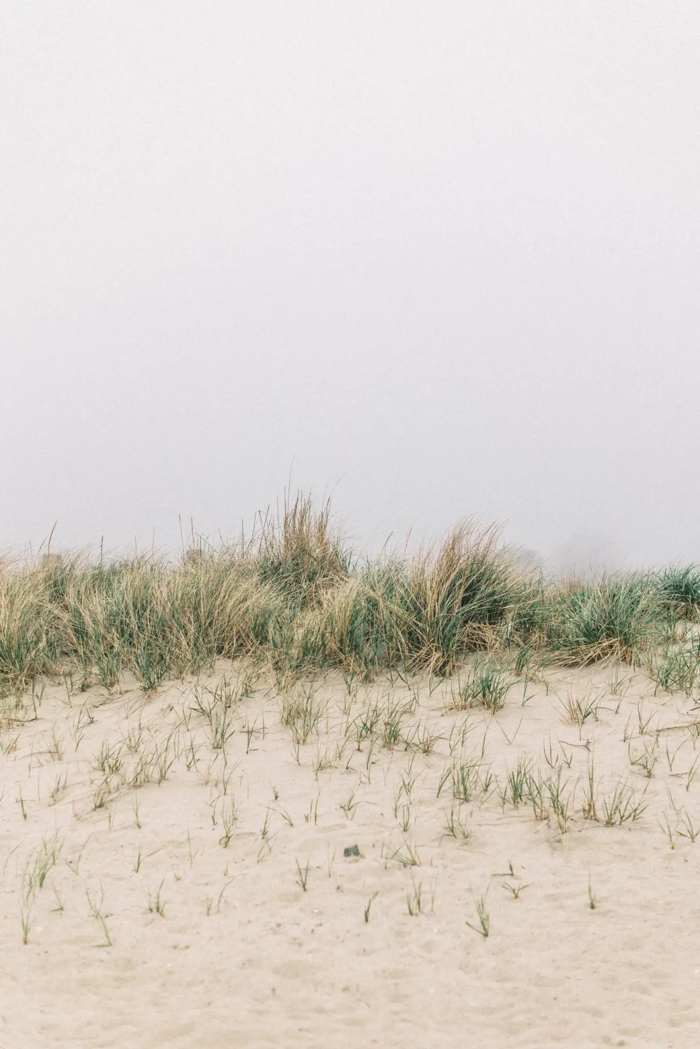 Kelly Dillon Wedding Photographer KellyDillonPhotographyChathamBarsInnCapeCodWeddingPhotogapherCapeCodWeddingPhotography62 scaled