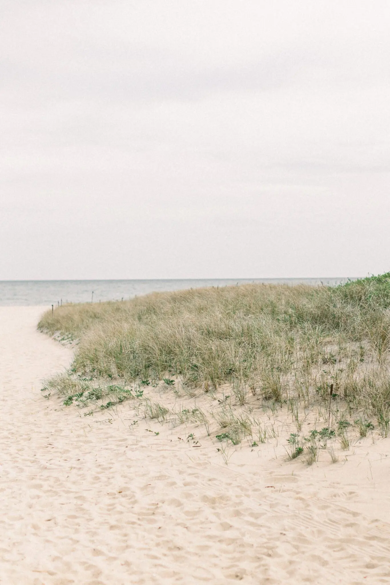 Kelly Dillon Wedding Photographer KellyDillonPhotographyWychmereCapeCodWeddingPhotogapherCapeCodWeddingPhotography107 scaled