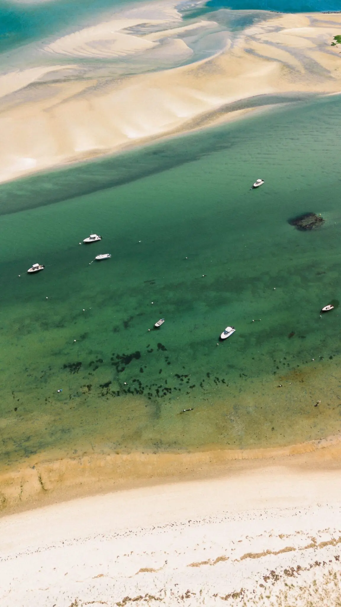 Kelly Dillon Wedding Photographer KellyDillonPhotographyChathamSummerHouseCapeCodWeddingPhotogapherCapeCodWeddingPhotography100 scaled