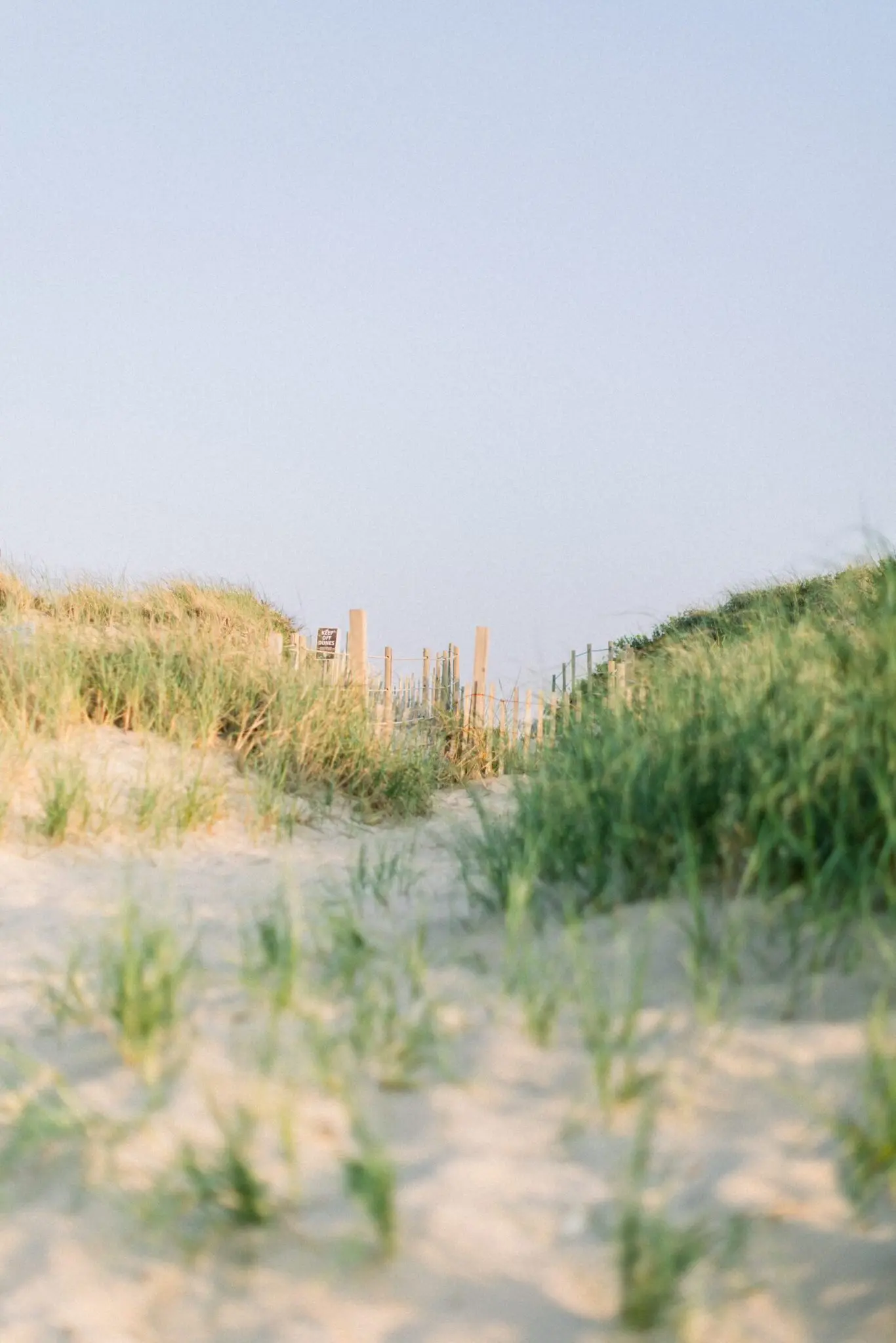 Kelly Dillon Wedding Photographer KellyDillonPhotographyDennisCapeCodWeddingPhotogapherCapeCodWeddingPhotography43 scaled