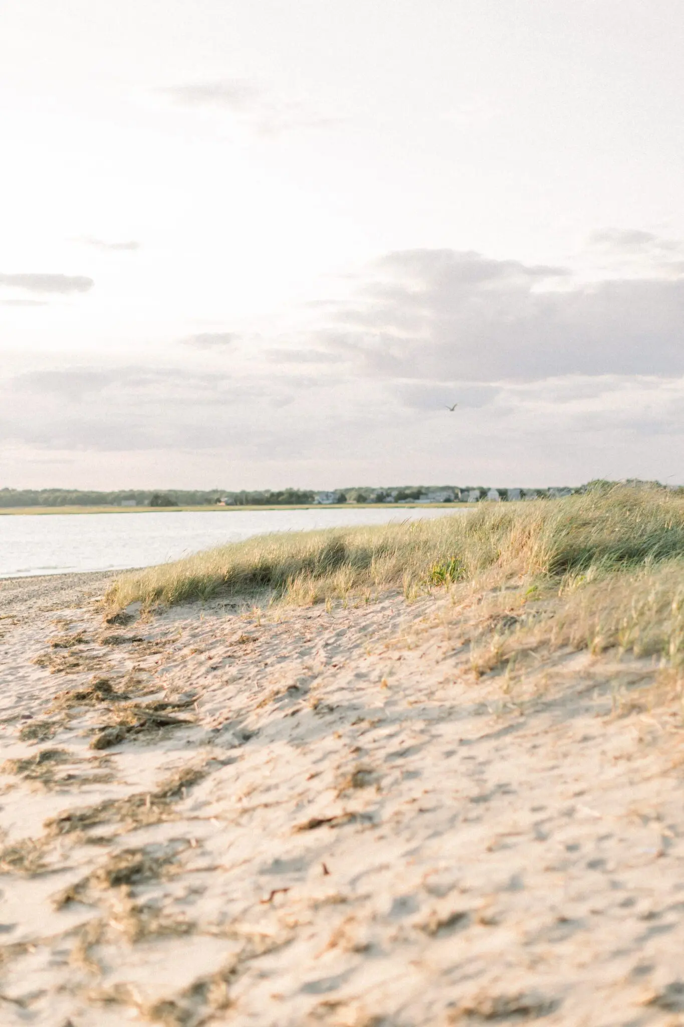 Kelly Dillon Wedding Photographer KellyDillonPhotographyDuxburyBeachCapeCodWeddingPhotogapherCapeCodWeddingPhotography29 scaled