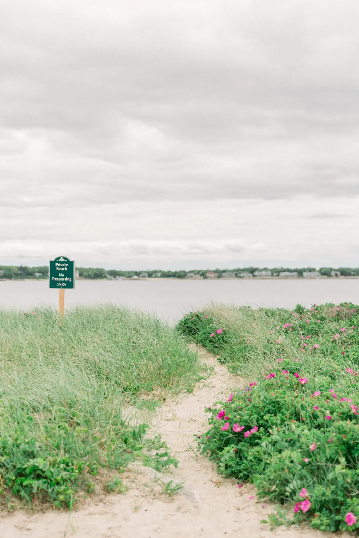 Kelly Dillon Wedding Photographer KellyDillonPhotographyPrivateEstatePocassetCapeCodWeddingPhotogapherCapeCodWeddingPhotography12 scaled